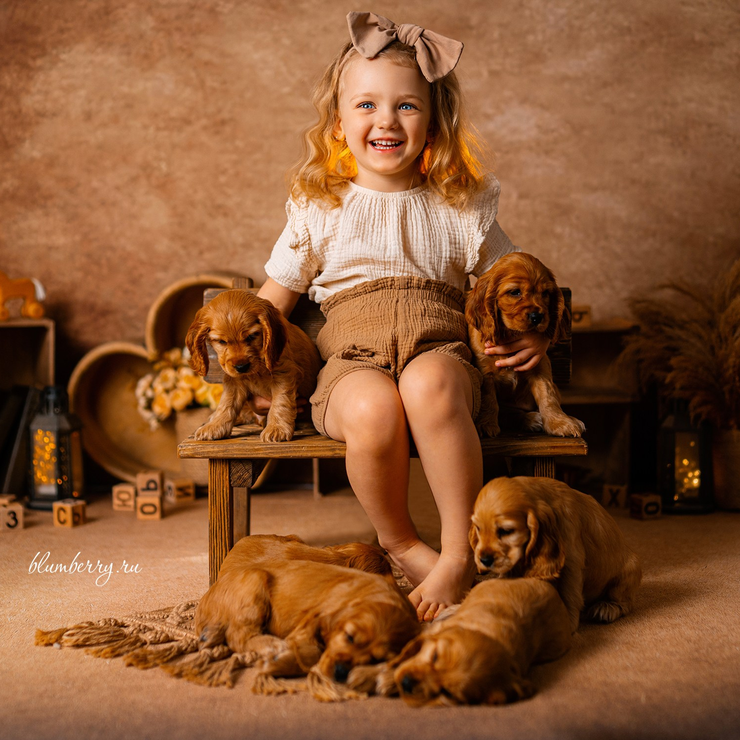 Щенки спаниеля. Детский и семейный фотограф в Краснодаре Анастасия Blumberry
