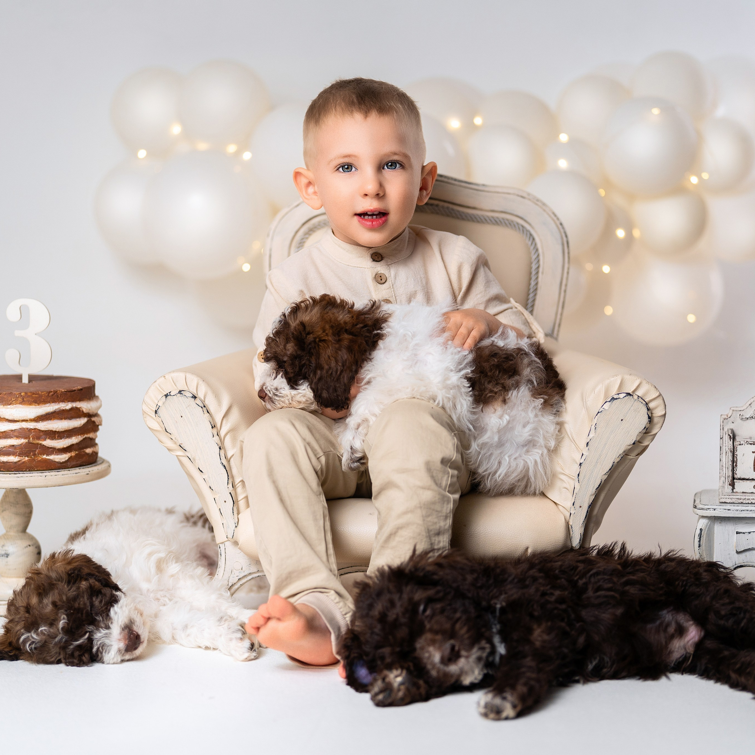 Щенки лаготто. Детский и семейный фотограф в Краснодаре Анастасия Blumberry