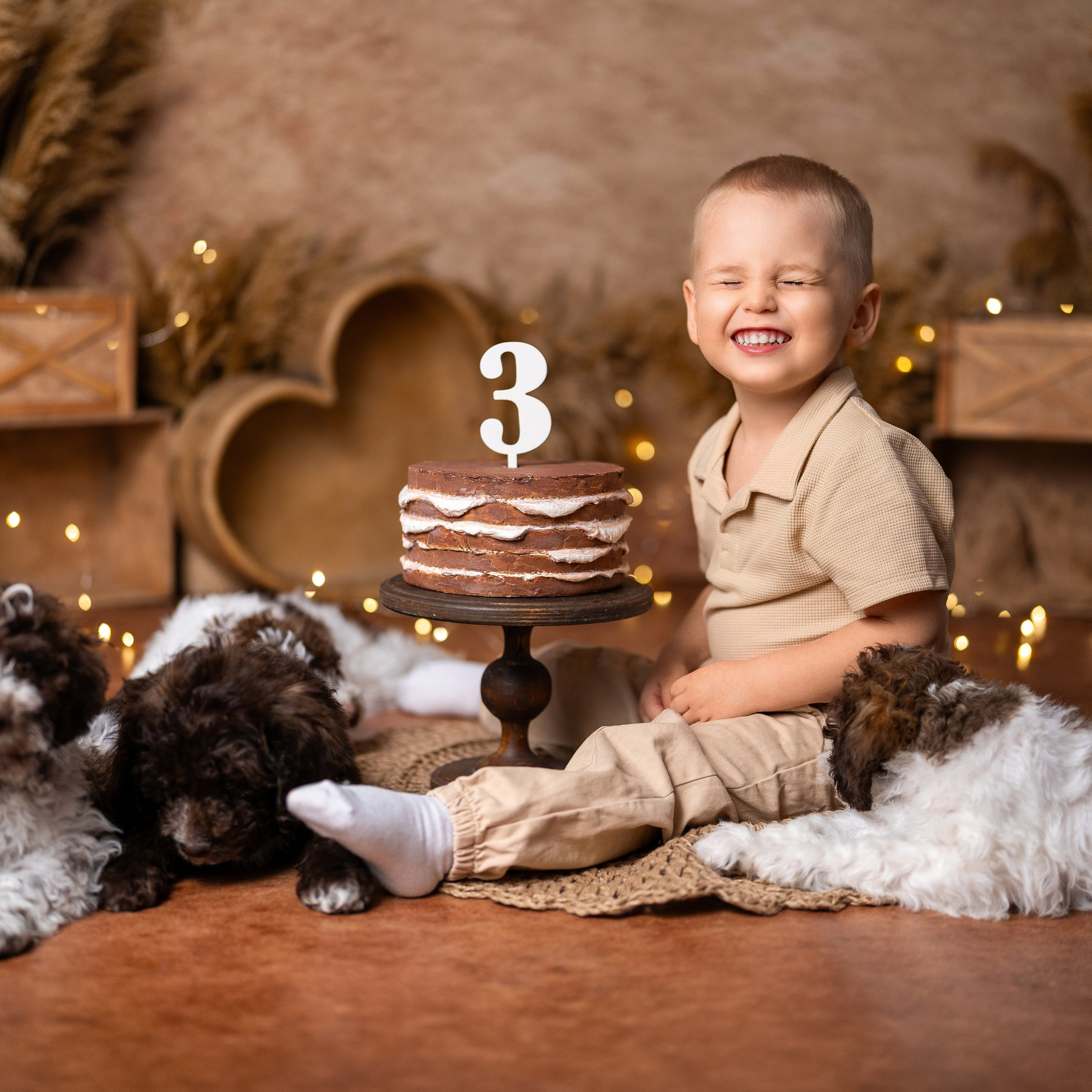 Щенки лаготто. Детский и семейный фотограф в Краснодаре Анастасия Blumberry