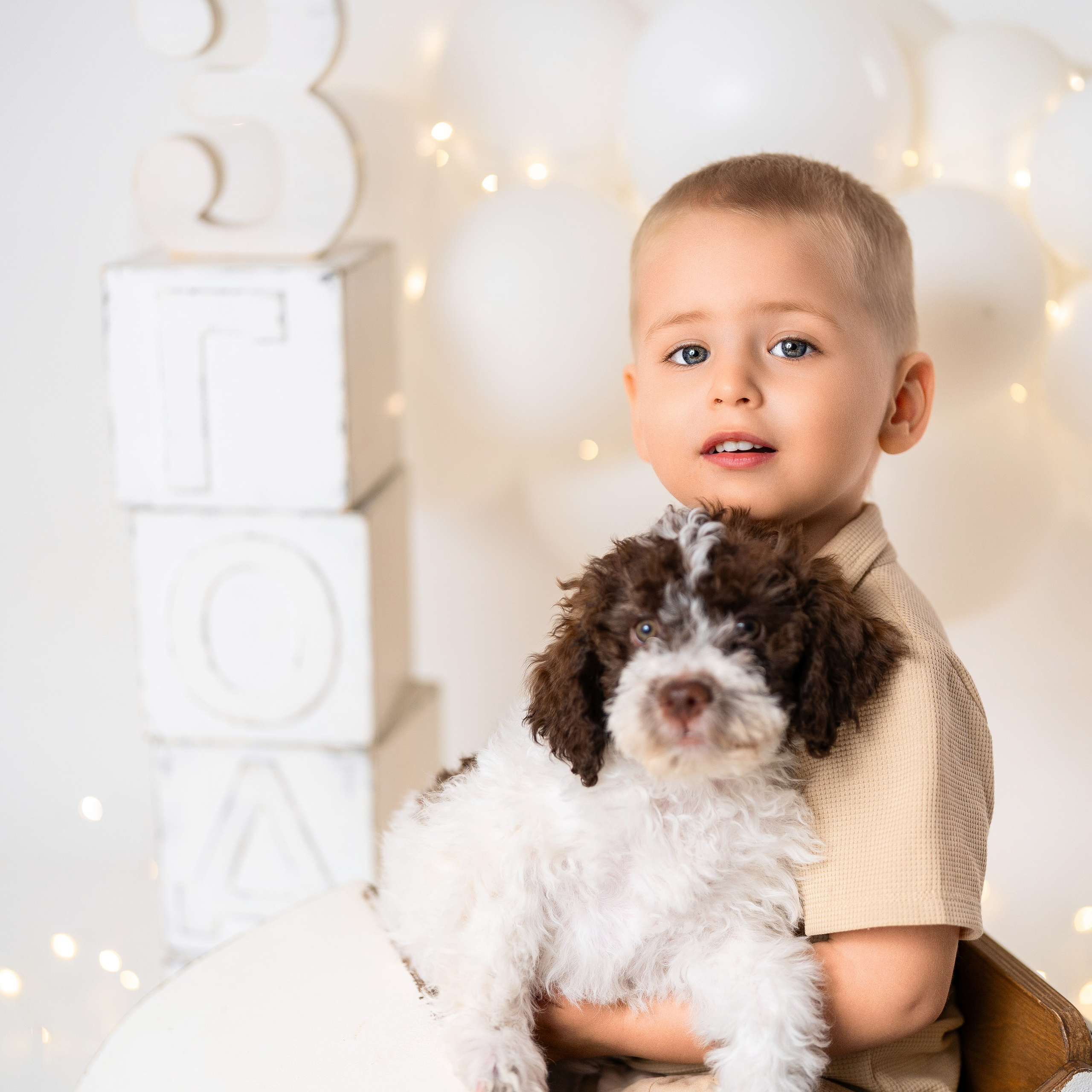 Щенки лаготто. Детский и семейный фотограф в Краснодаре Анастасия Blumberry