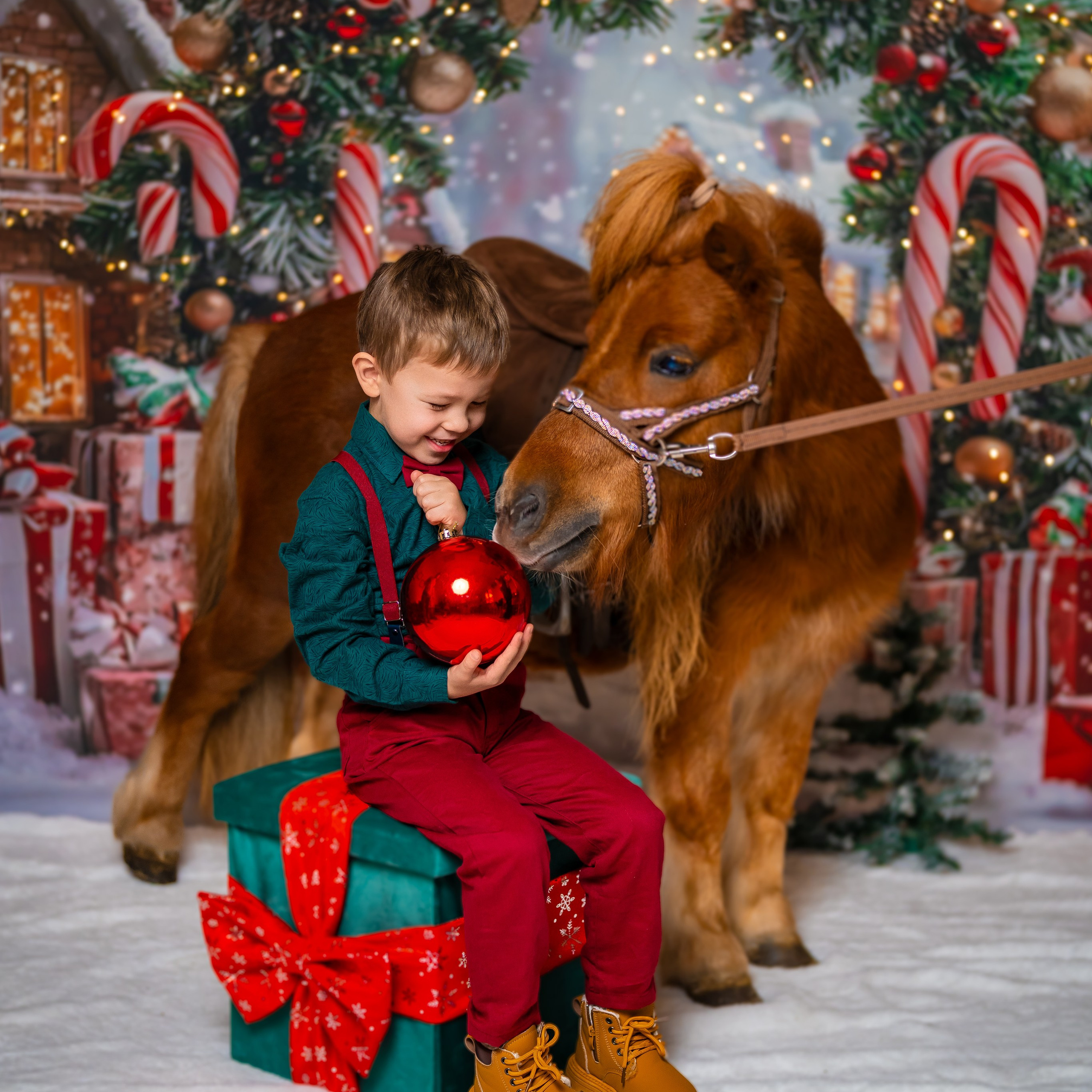 Год лошади. Детский и семейный фотограф в Краснодаре Анастасия Blumberry