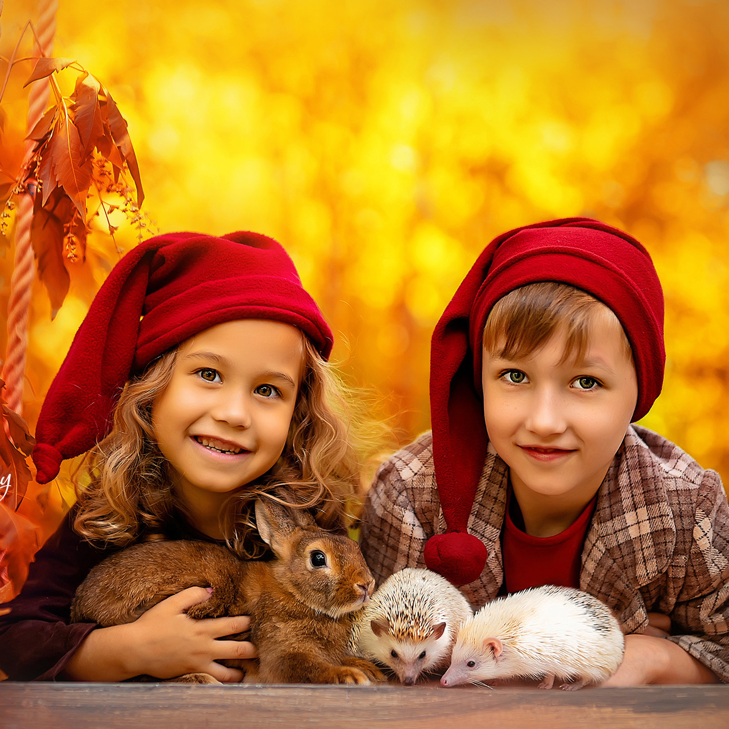 Гномы с ёжиками и кроликами. Детский и семейный фотограф в Краснодаре Анастасия Blumberry