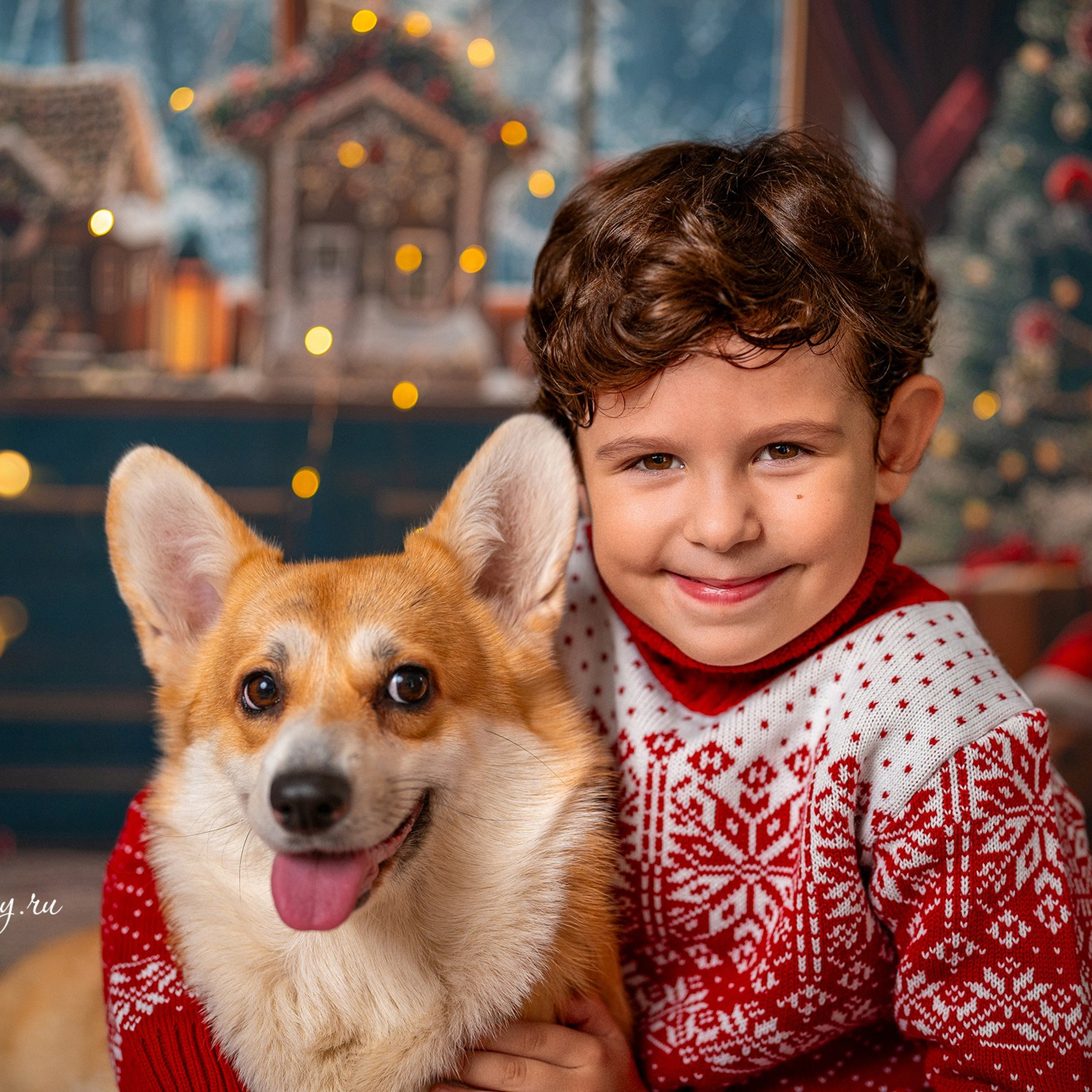 Новогодняя комната с корги. Детский и семейный фотограф в Краснодаре Анастасия Blumberry
