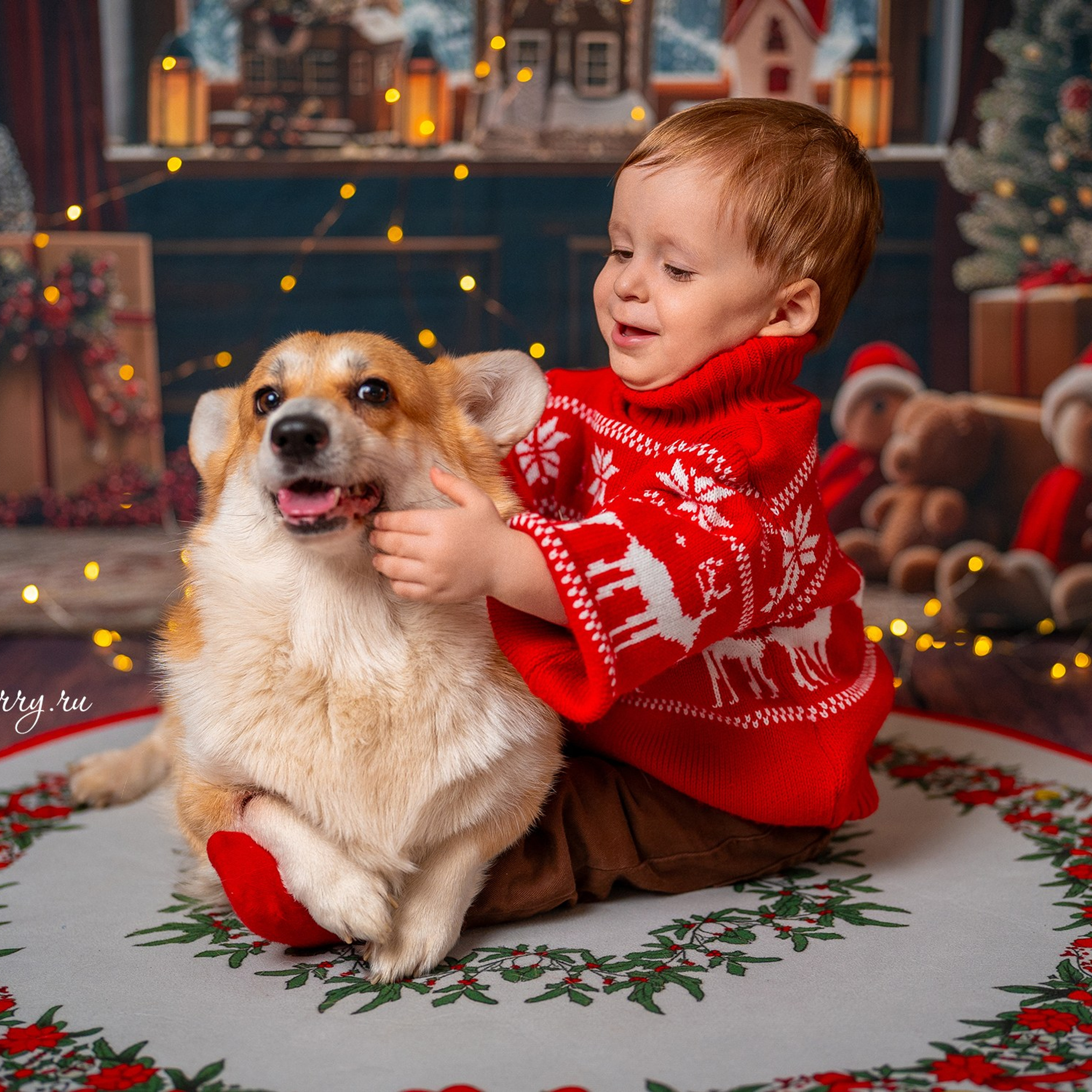 Новогодняя комната с корги. Детский и семейный фотограф в Краснодаре Анастасия Blumberry