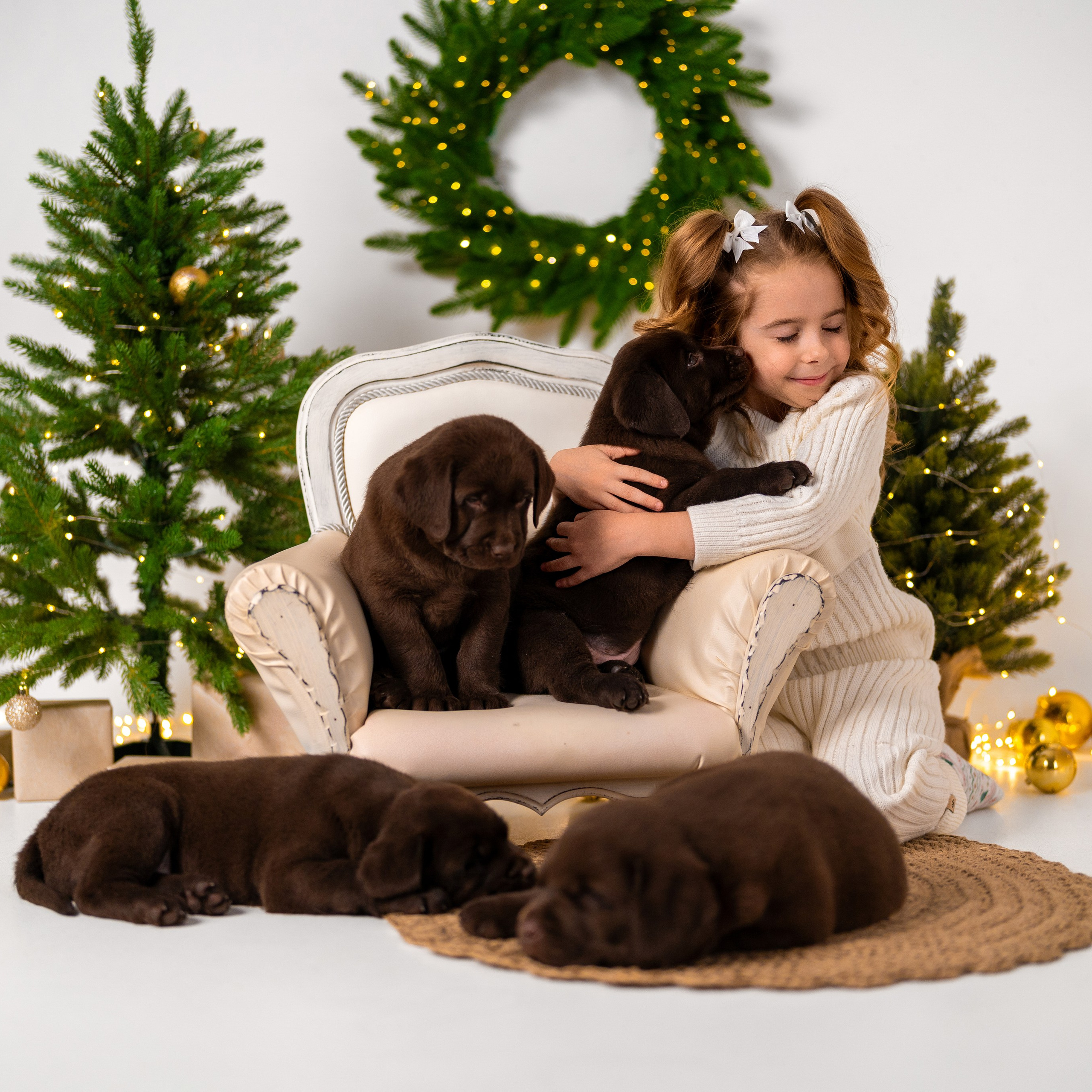 Щенки лабрадоры. Детский и семейный фотограф в Краснодаре Анастасия Blumberry