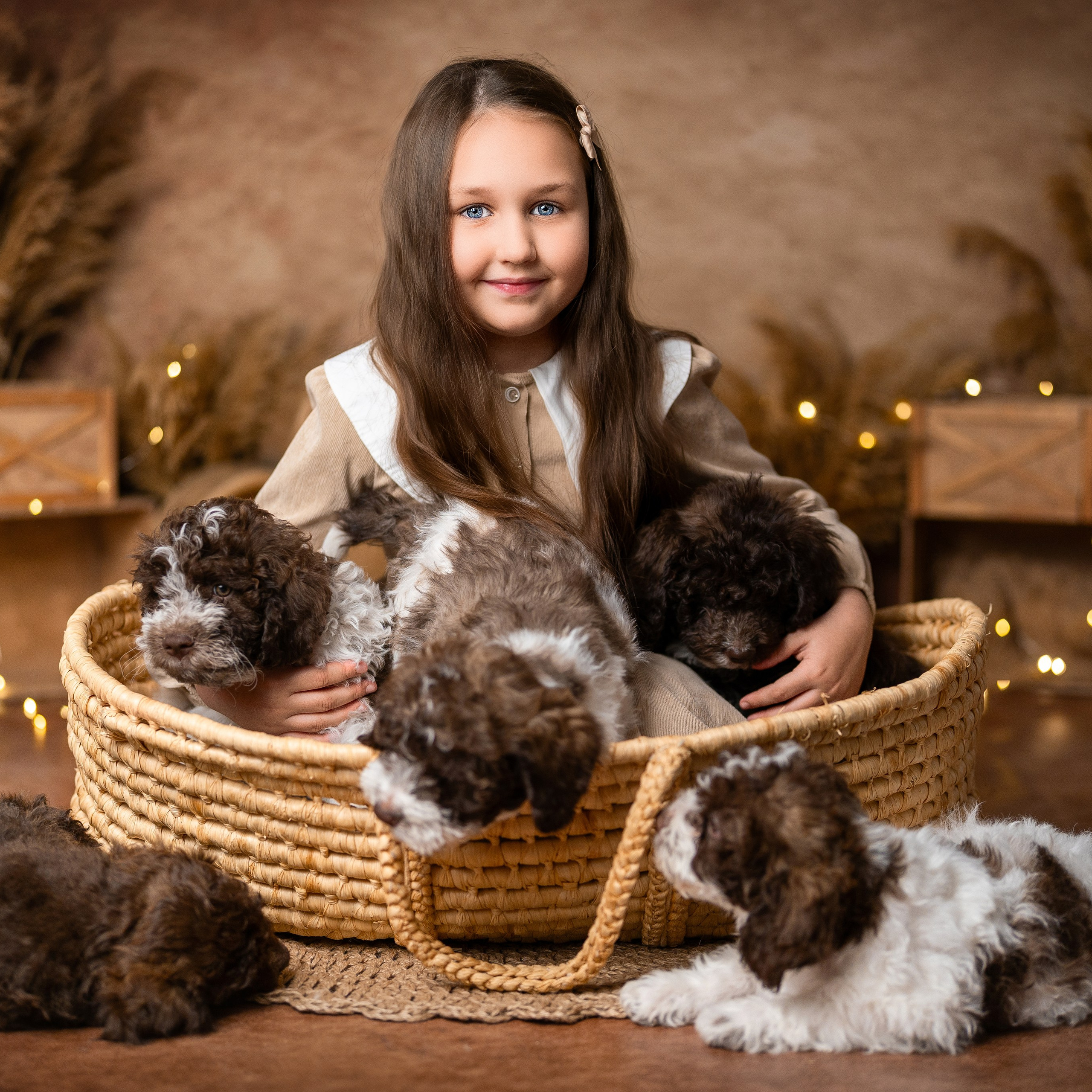 Щенки лаготто. Детский и семейный фотограф в Краснодаре Анастасия Blumberry