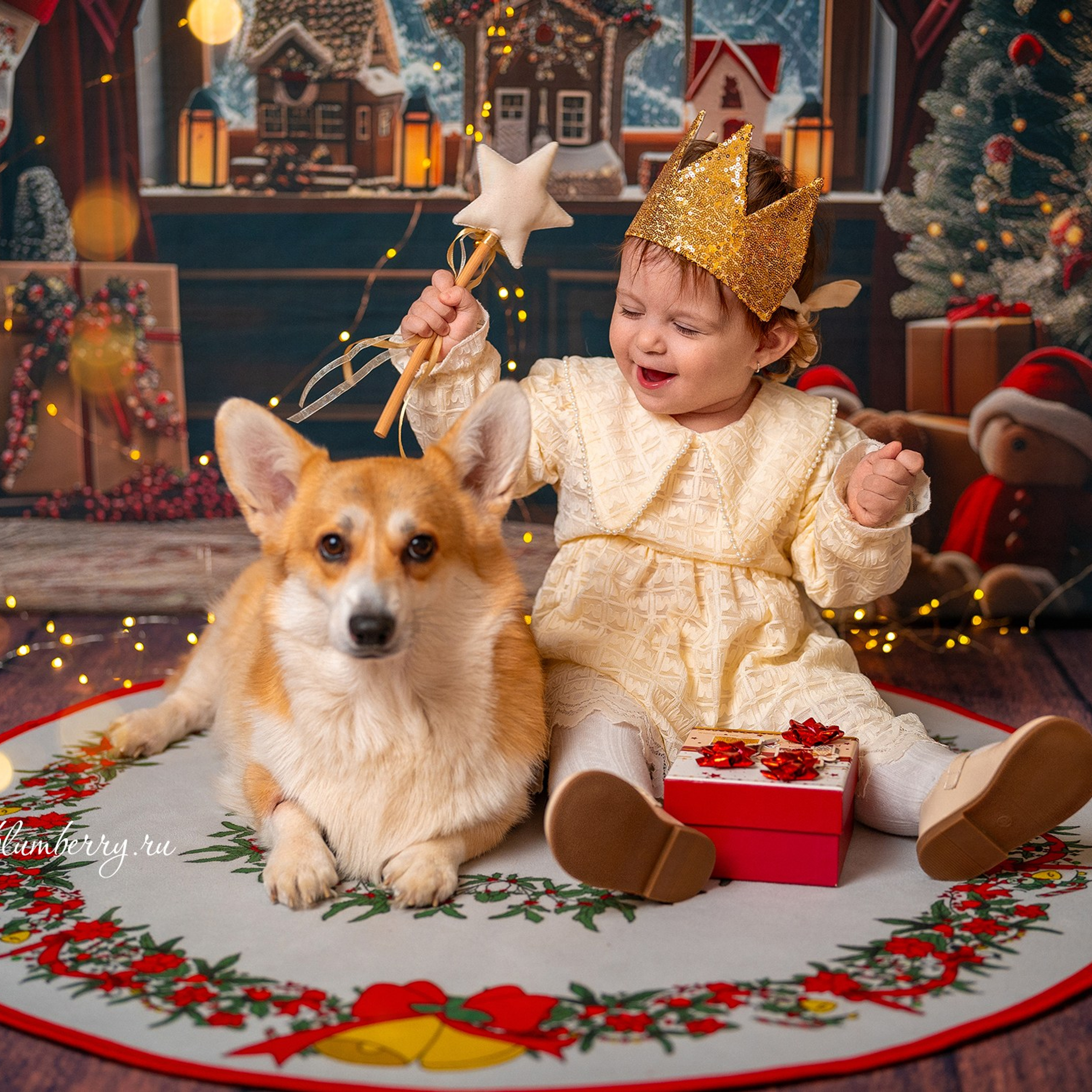 Новогодняя комната с корги. Детский и семейный фотограф в Краснодаре Анастасия Blumberry