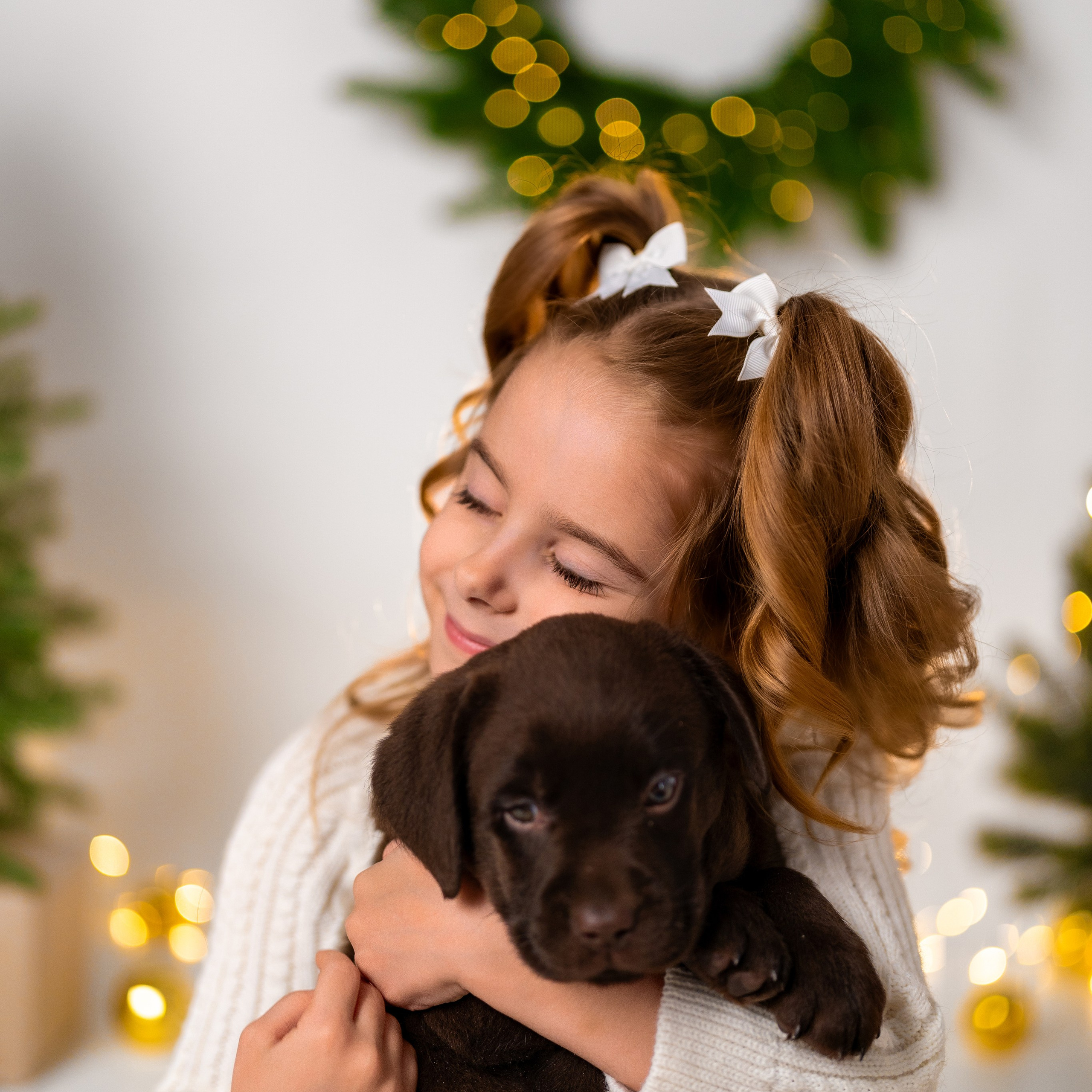 Щенки лабрадоры. Детский и семейный фотограф в Краснодаре Анастасия Blumberry