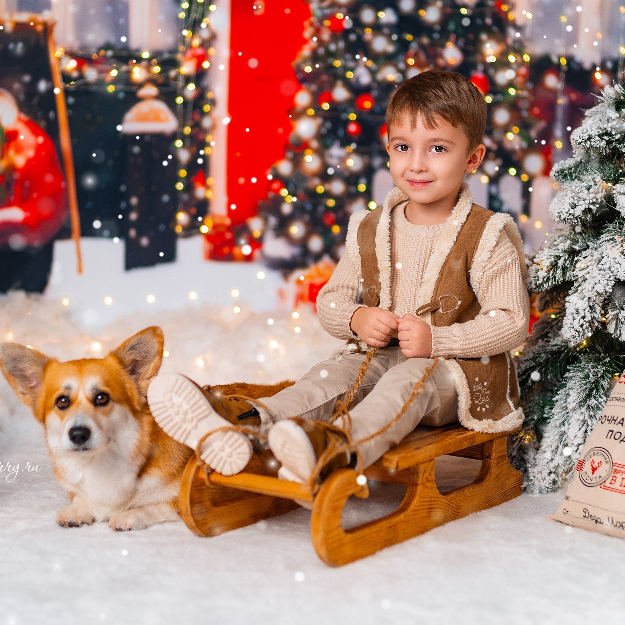Новогодняя с корги. Детский и семейный фотограф в Краснодаре Анастасия Blumberry