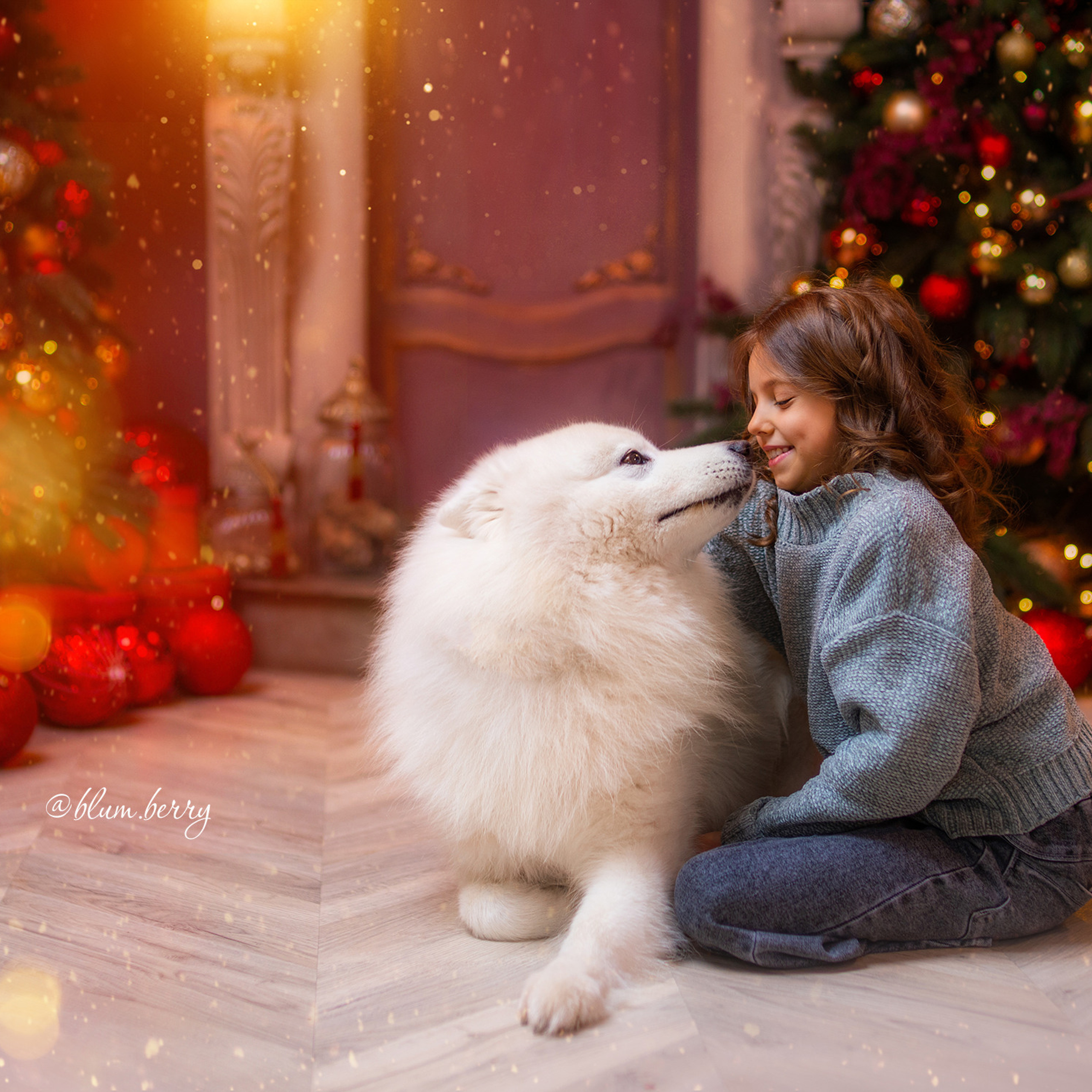 Новогодняя с самоедом и кроликом. Детский и семейный фотограф в Краснодаре Анастасия Blumberry