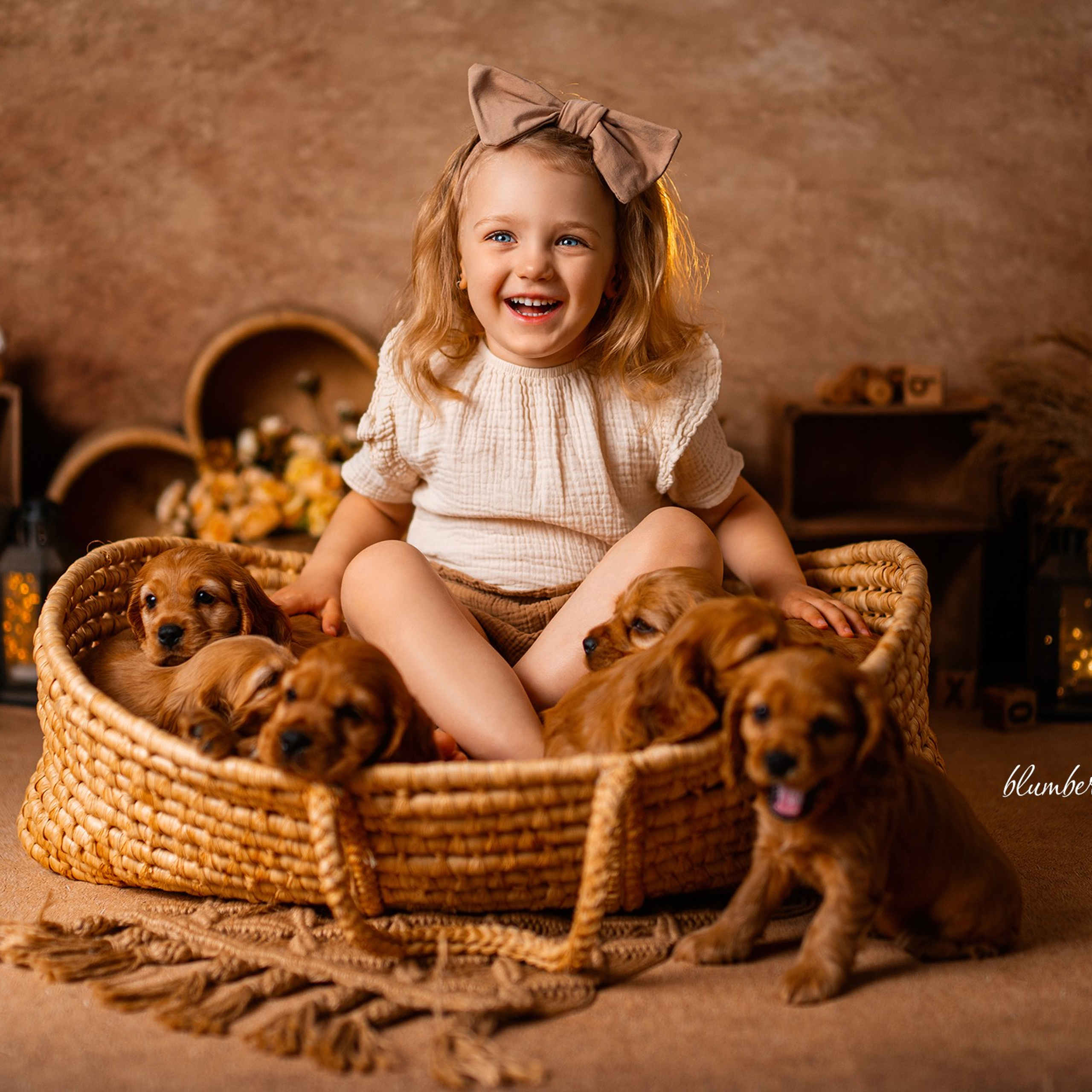 Щенки спаниеля. Детский и семейный фотограф в Краснодаре Анастасия Blumberry