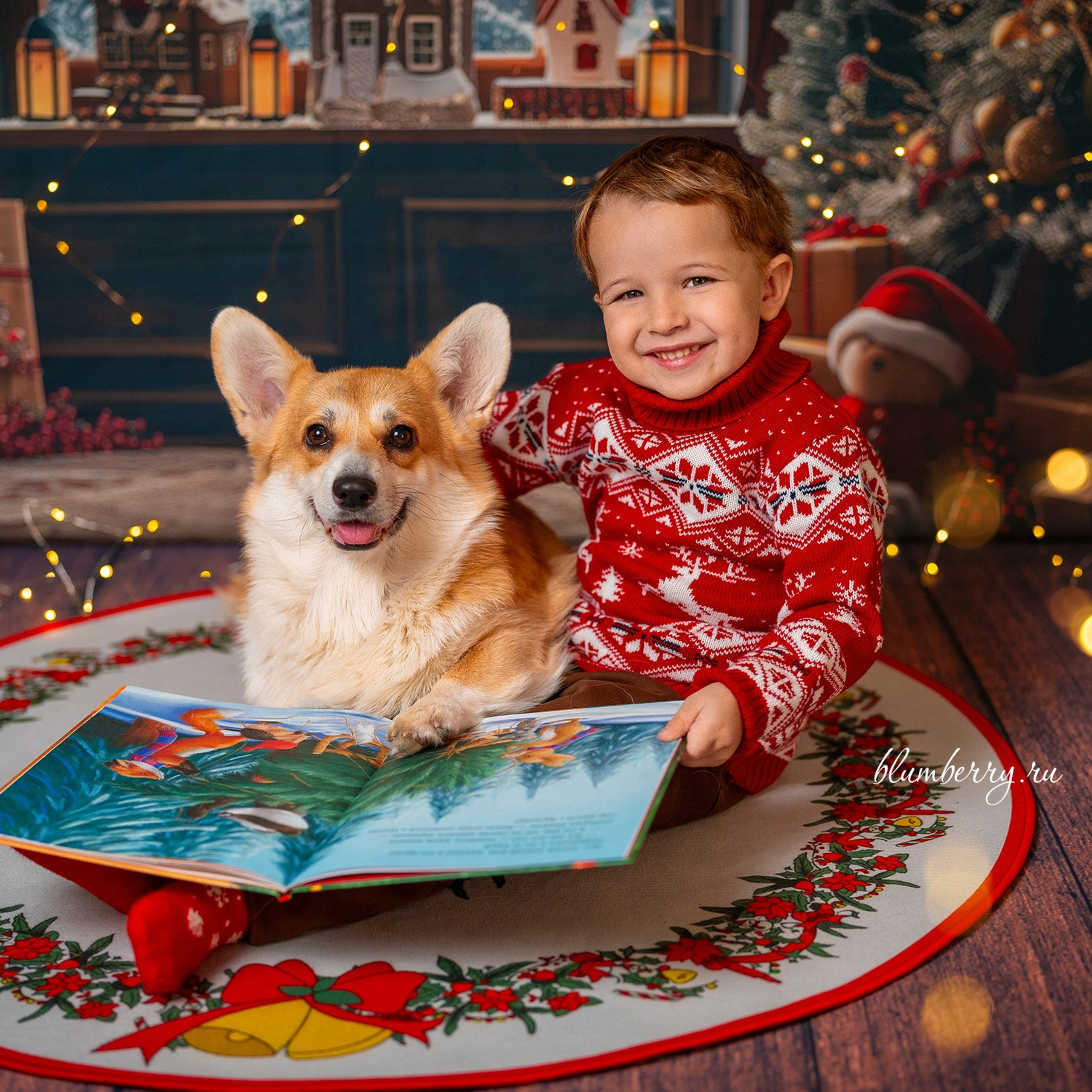 Новогодняя комната с корги. Детский и семейный фотограф в Краснодаре Анастасия Blumberry