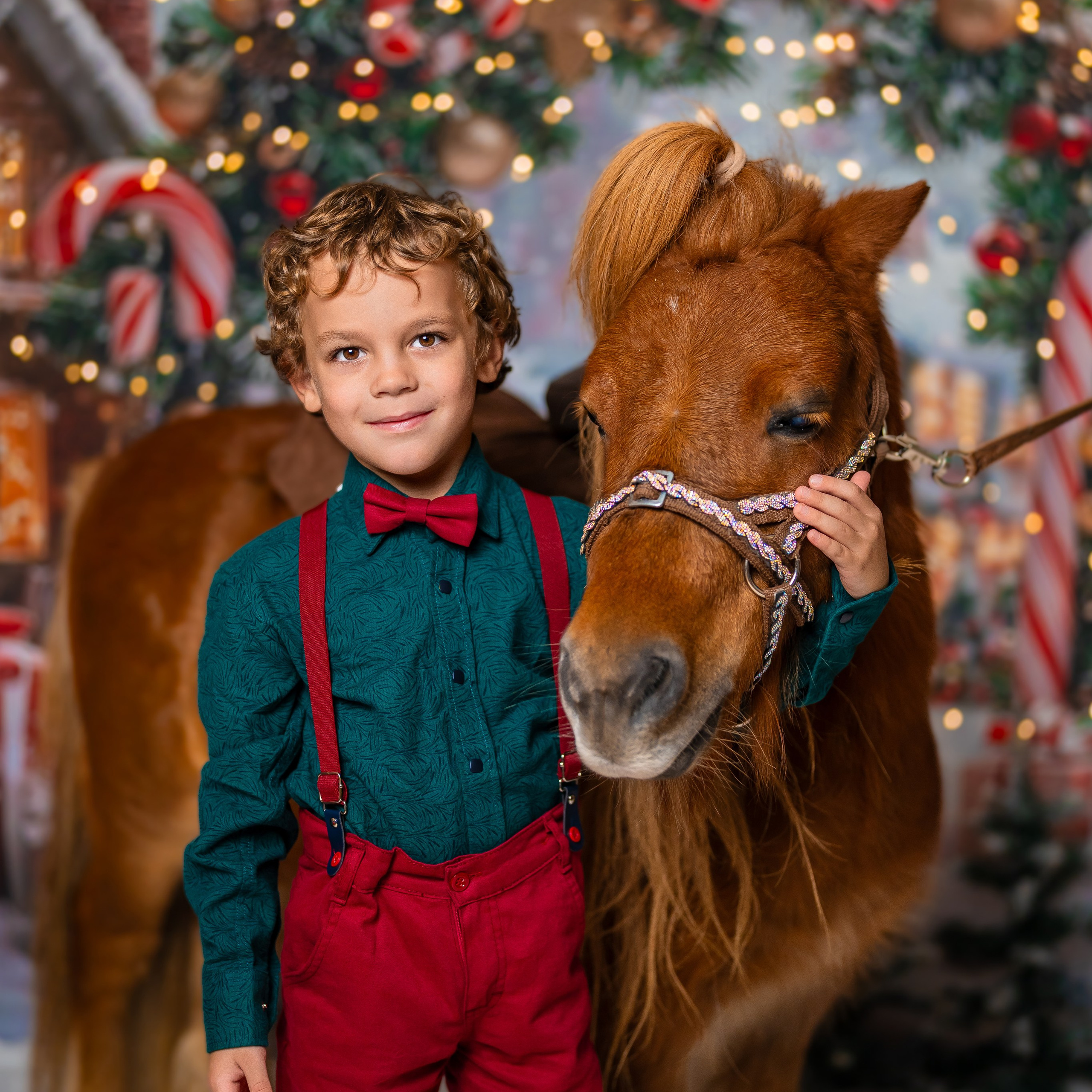 Год лошади. Детский и семейный фотограф в Краснодаре Анастасия Blumberry