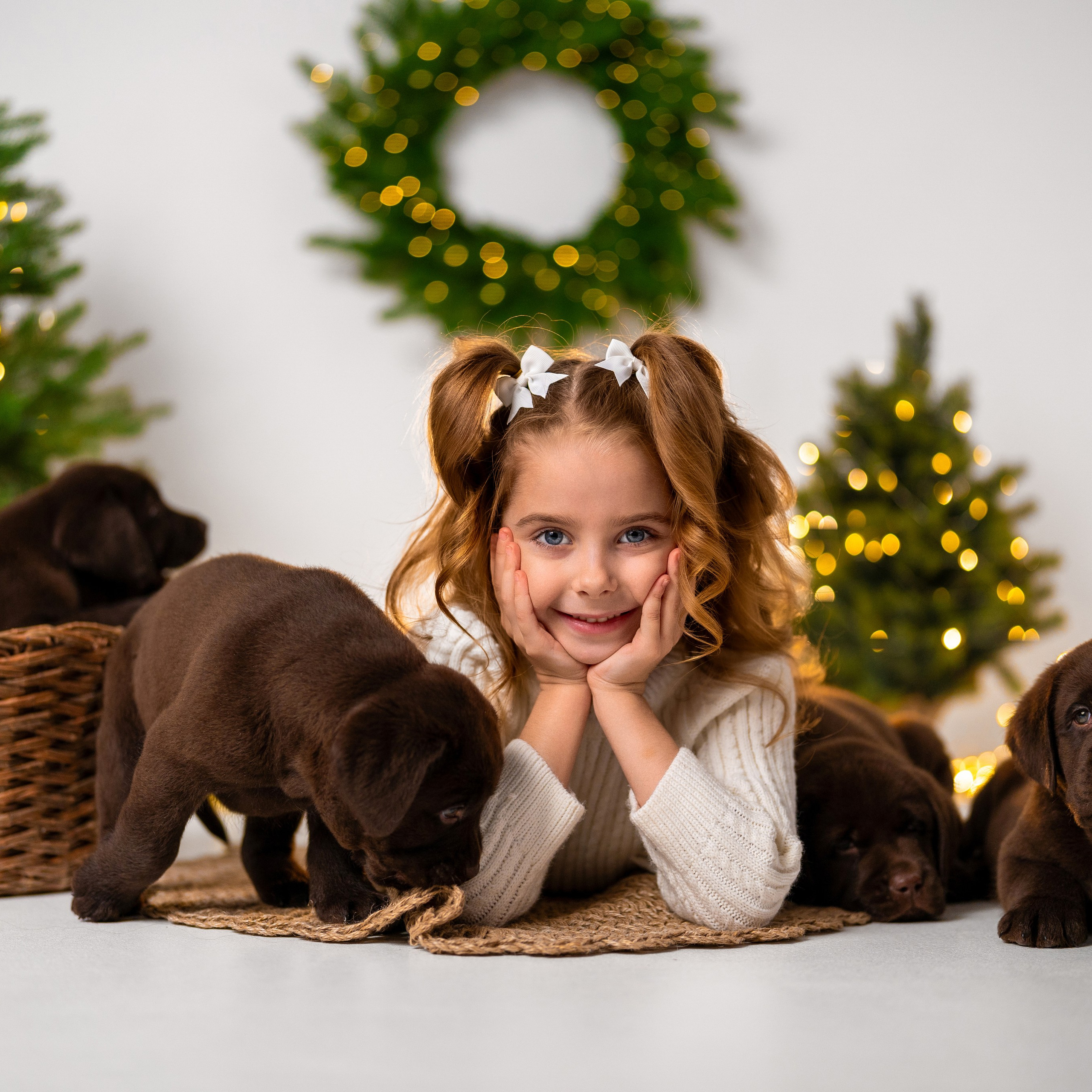 Щенки лабрадоры. Детский и семейный фотограф в Краснодаре Анастасия Blumberry