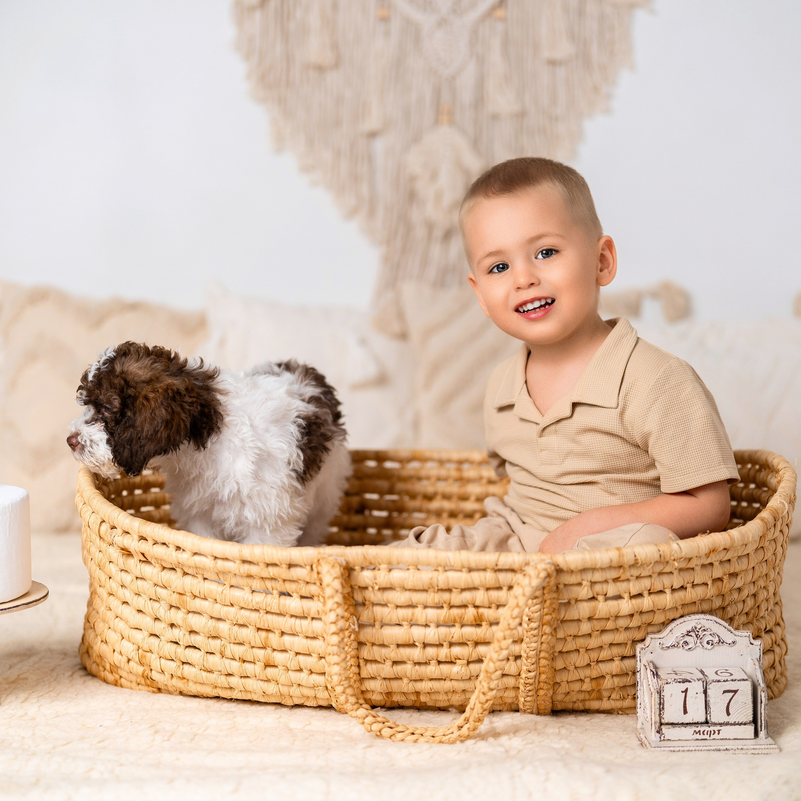 Щенки лаготто. Детский и семейный фотограф в Краснодаре Анастасия Blumberry