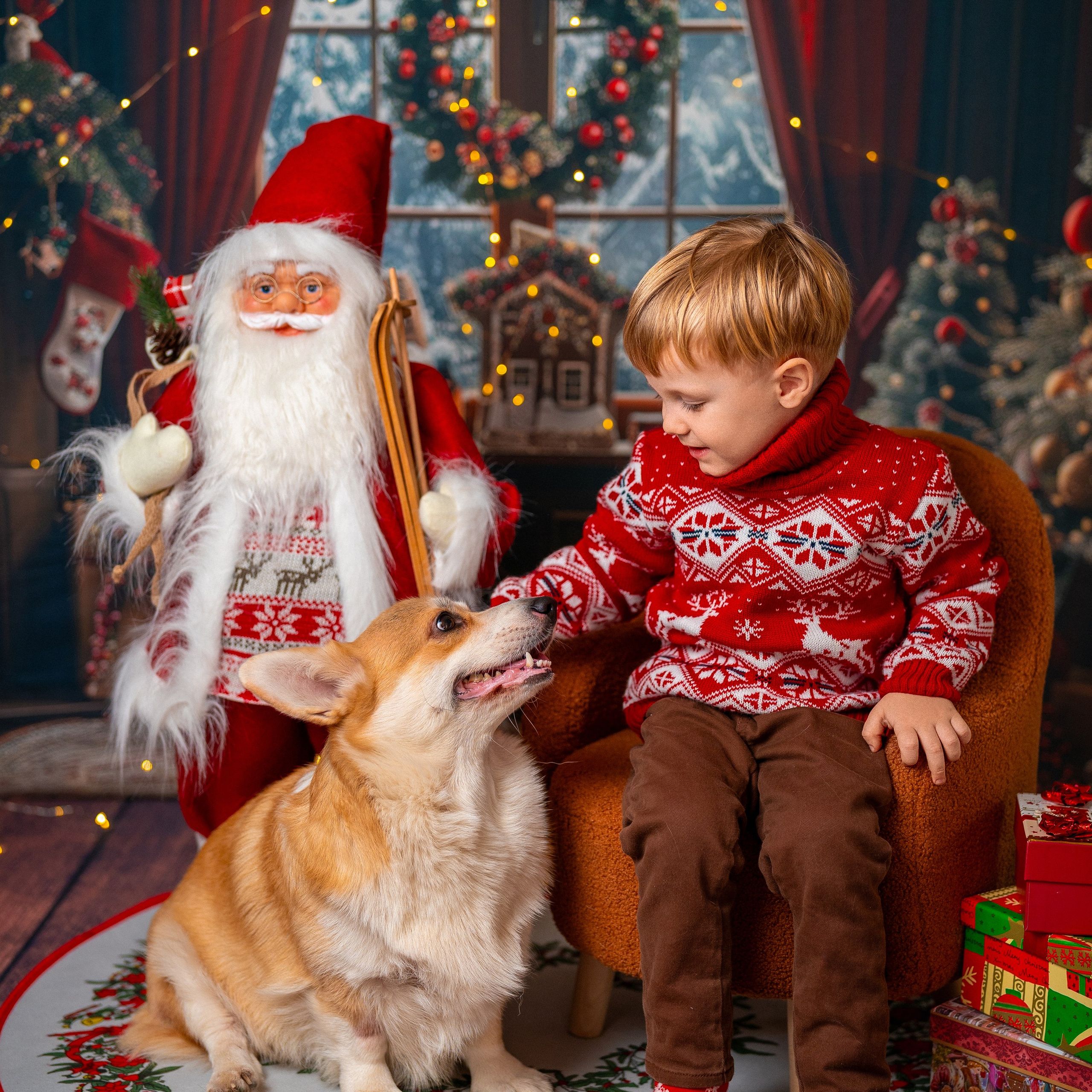 Новогодняя комната с корги. Детский и семейный фотограф в Краснодаре Анастасия Blumberry