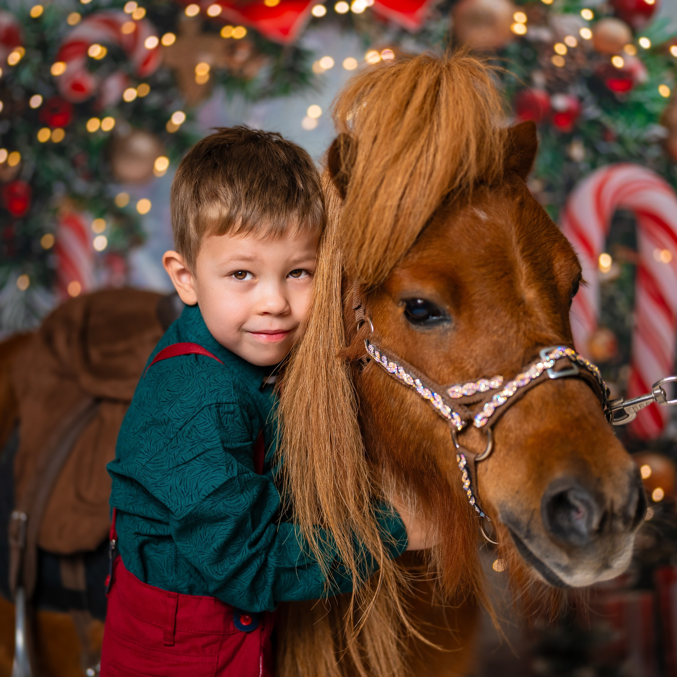 Год лошади. Детский и семейный фотограф в Краснодаре Анастасия Blumberry