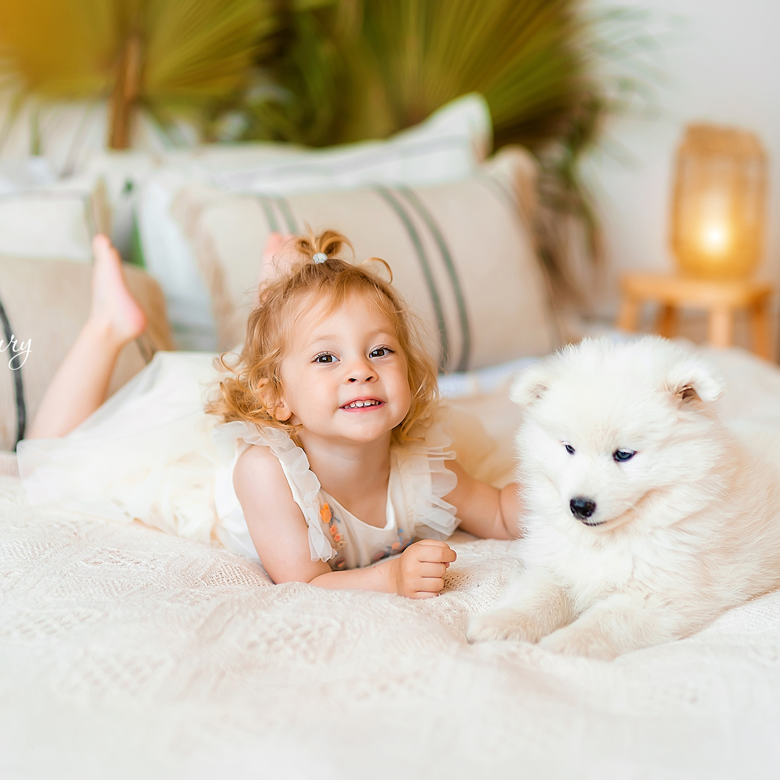 Щенки самоеда. Детский и семейный фотограф в Краснодаре Анастасия Blumberry