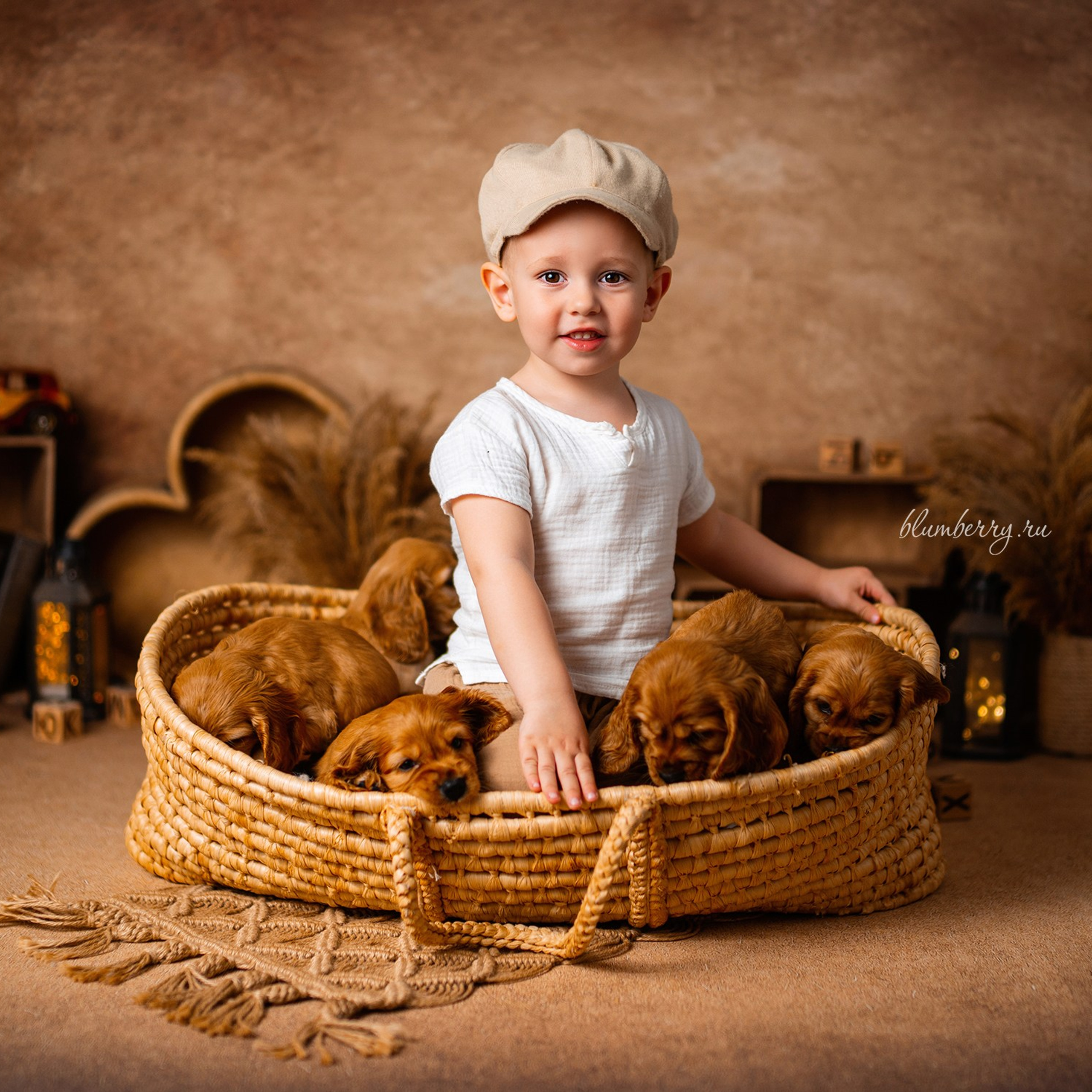 Щенки спаниеля. Детский и семейный фотограф в Краснодаре Анастасия Blumberry