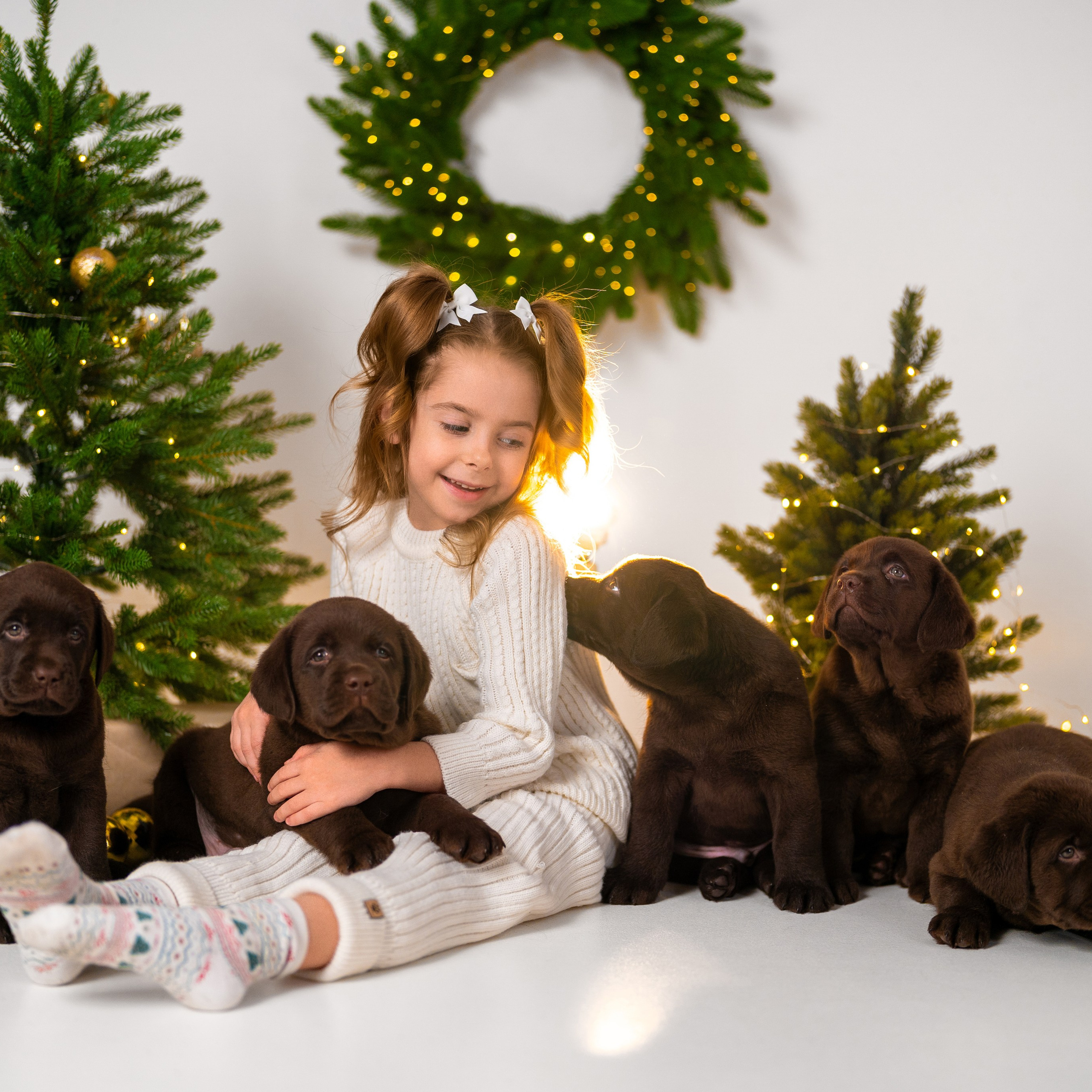 Щенки лабрадоры. Детский и семейный фотограф в Краснодаре Анастасия Blumberry