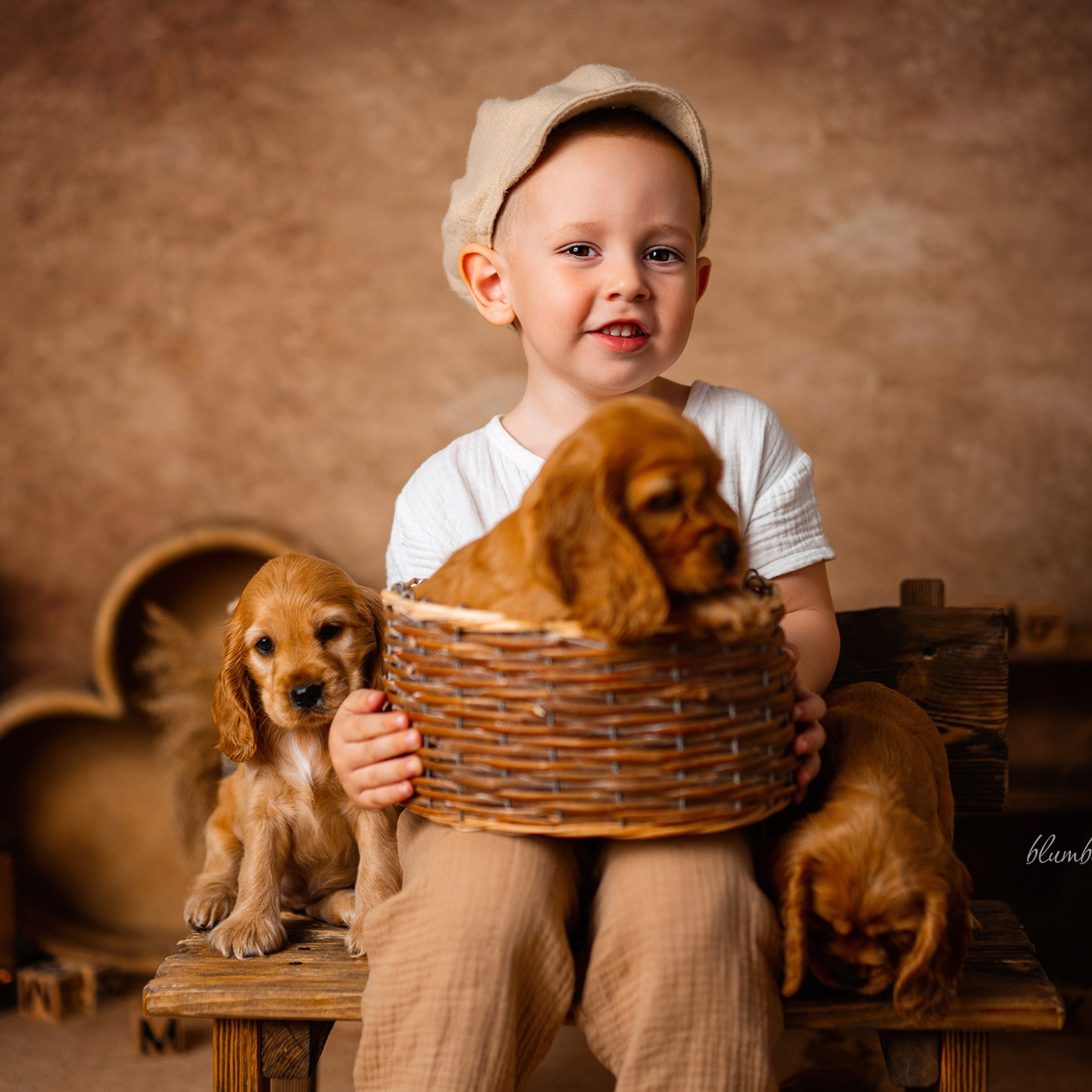 Щенки спаниеля. Детский и семейный фотограф в Краснодаре Анастасия Blumberry