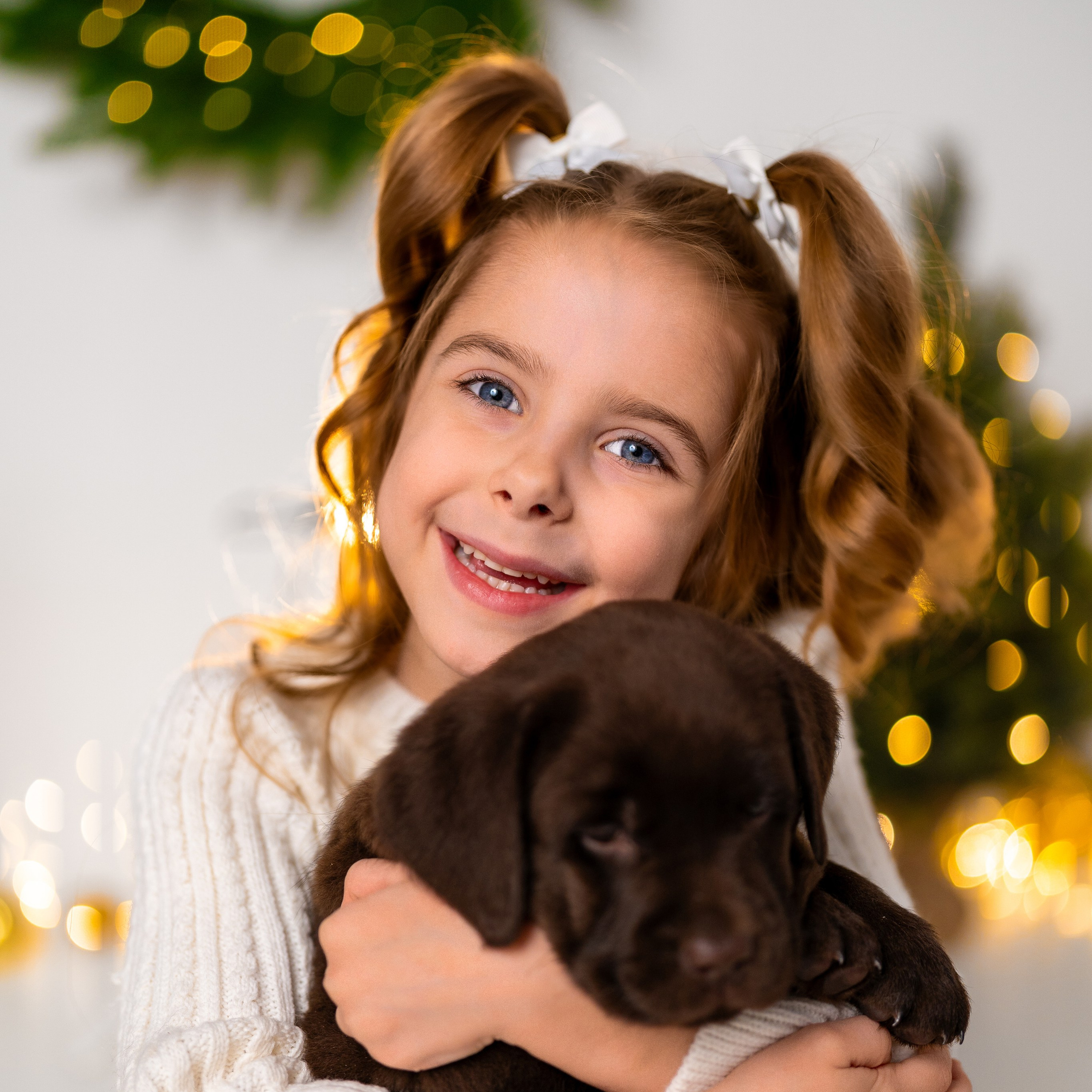 Щенки лабрадоры. Детский и семейный фотограф в Краснодаре Анастасия Blumberry