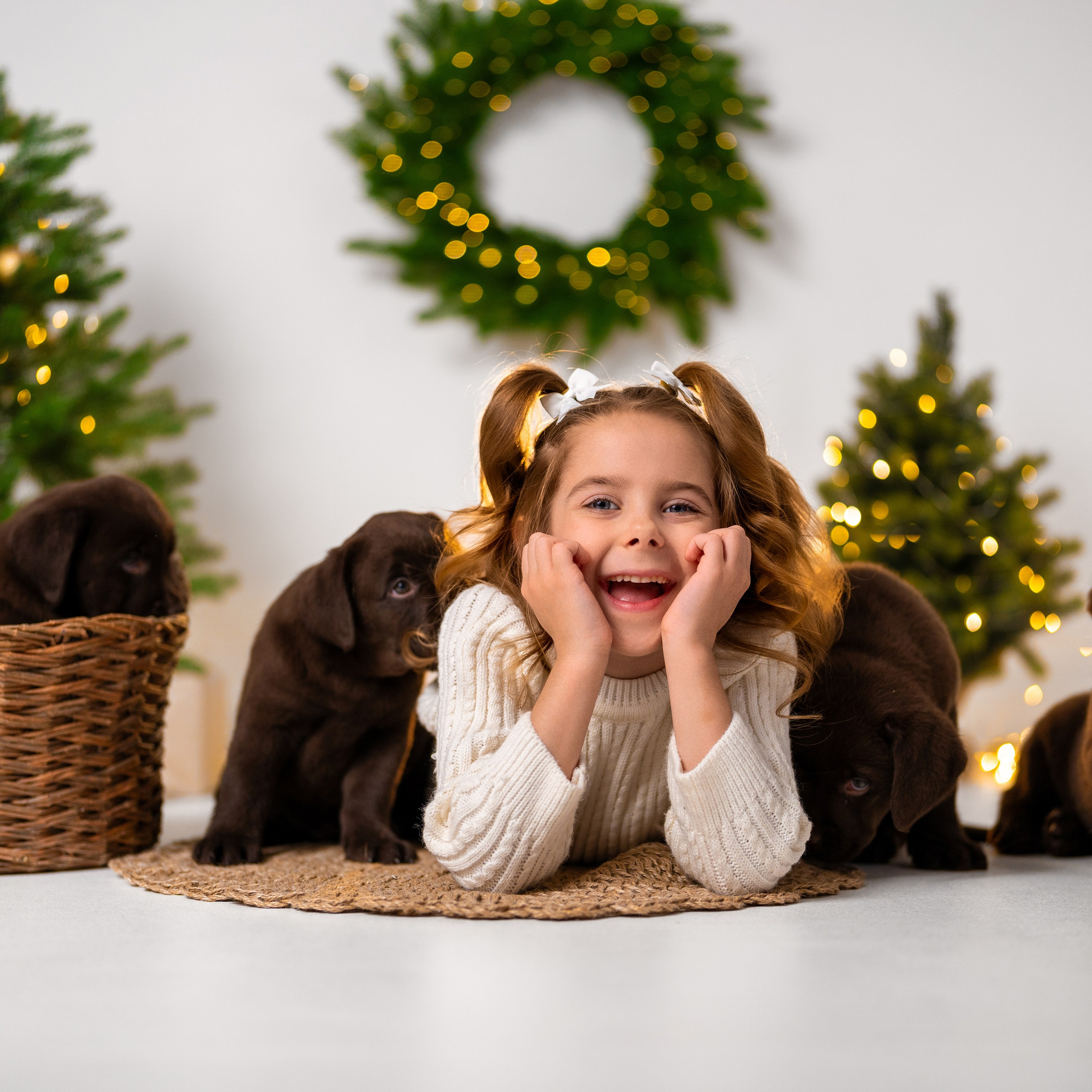 Щенки лабрадоры. Детский и семейный фотограф в Краснодаре Анастасия Blumberry