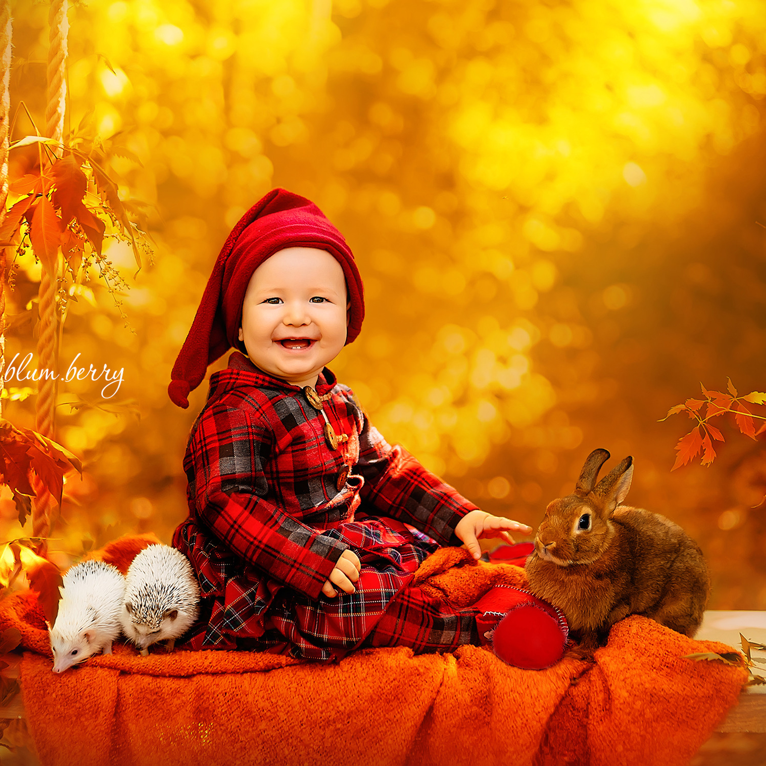 Гномы с ёжиками и кроликами. Детский и семейный фотограф в Краснодаре Анастасия Blumberry