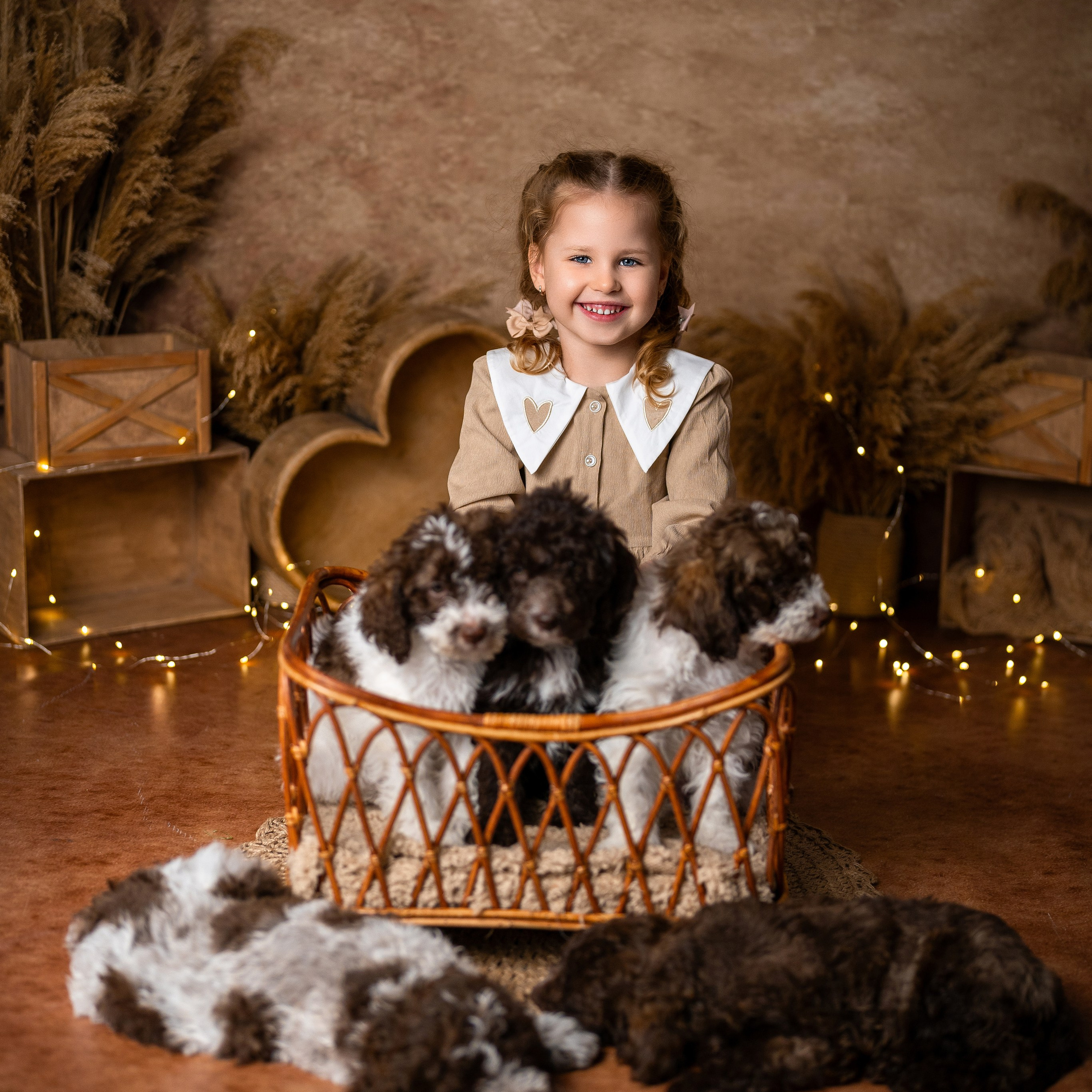 Щенки лаготто. Детский и семейный фотограф в Краснодаре Анастасия Blumberry