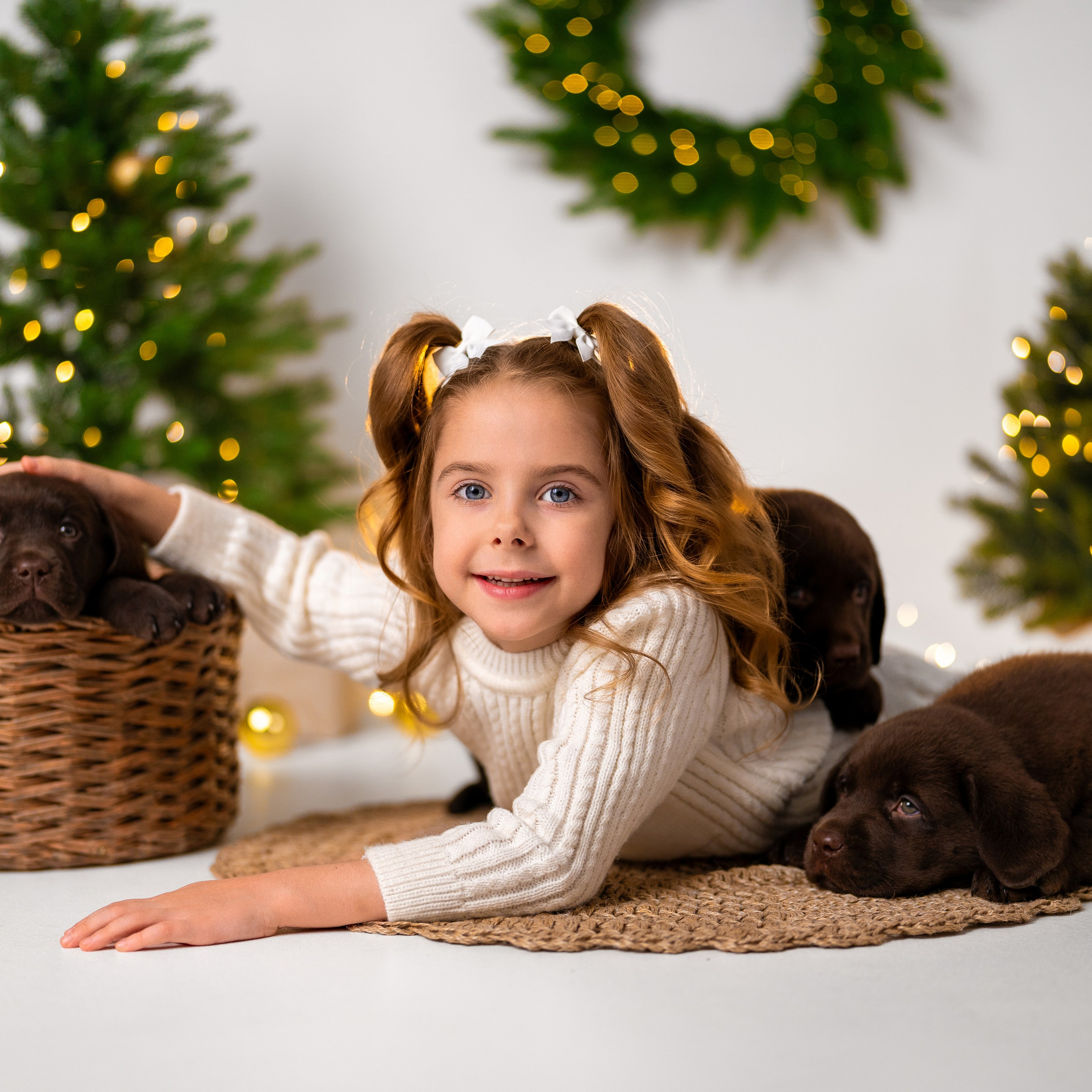 Щенки лабрадоры. Детский и семейный фотограф в Краснодаре Анастасия Blumberry