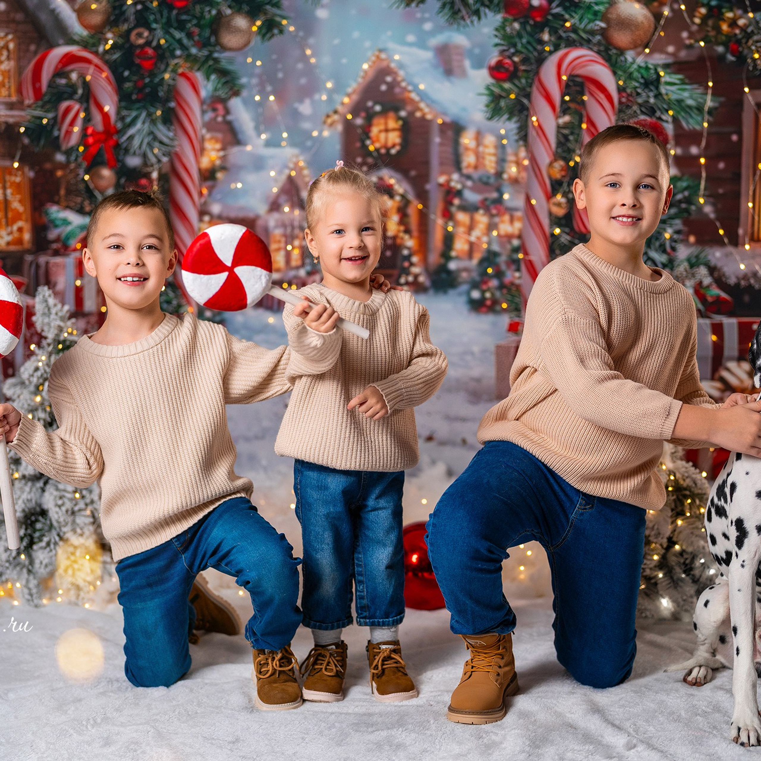 Далматин. Детский и семейный фотограф в Краснодаре Анастасия Blumberry