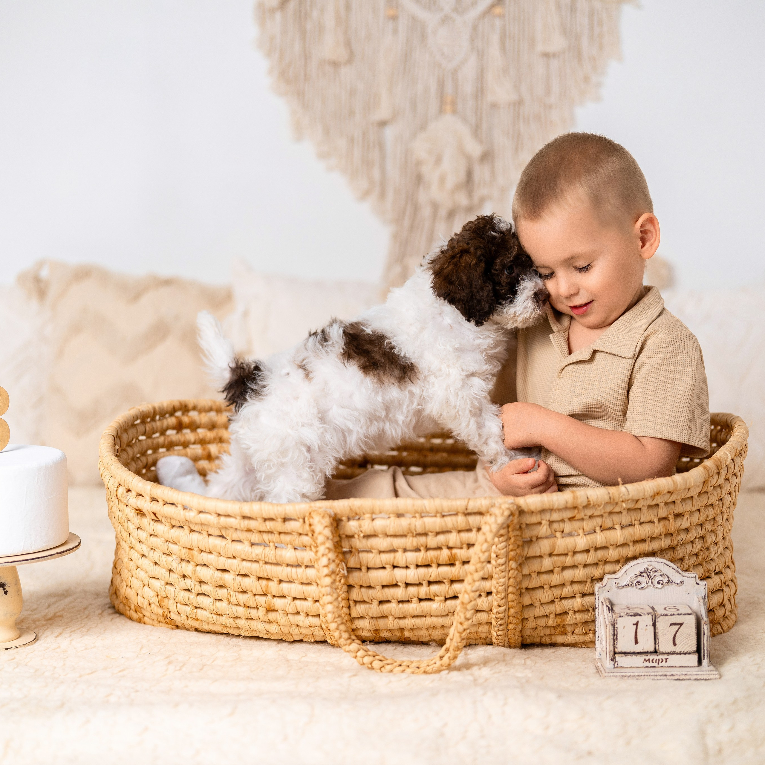 Щенки лаготто