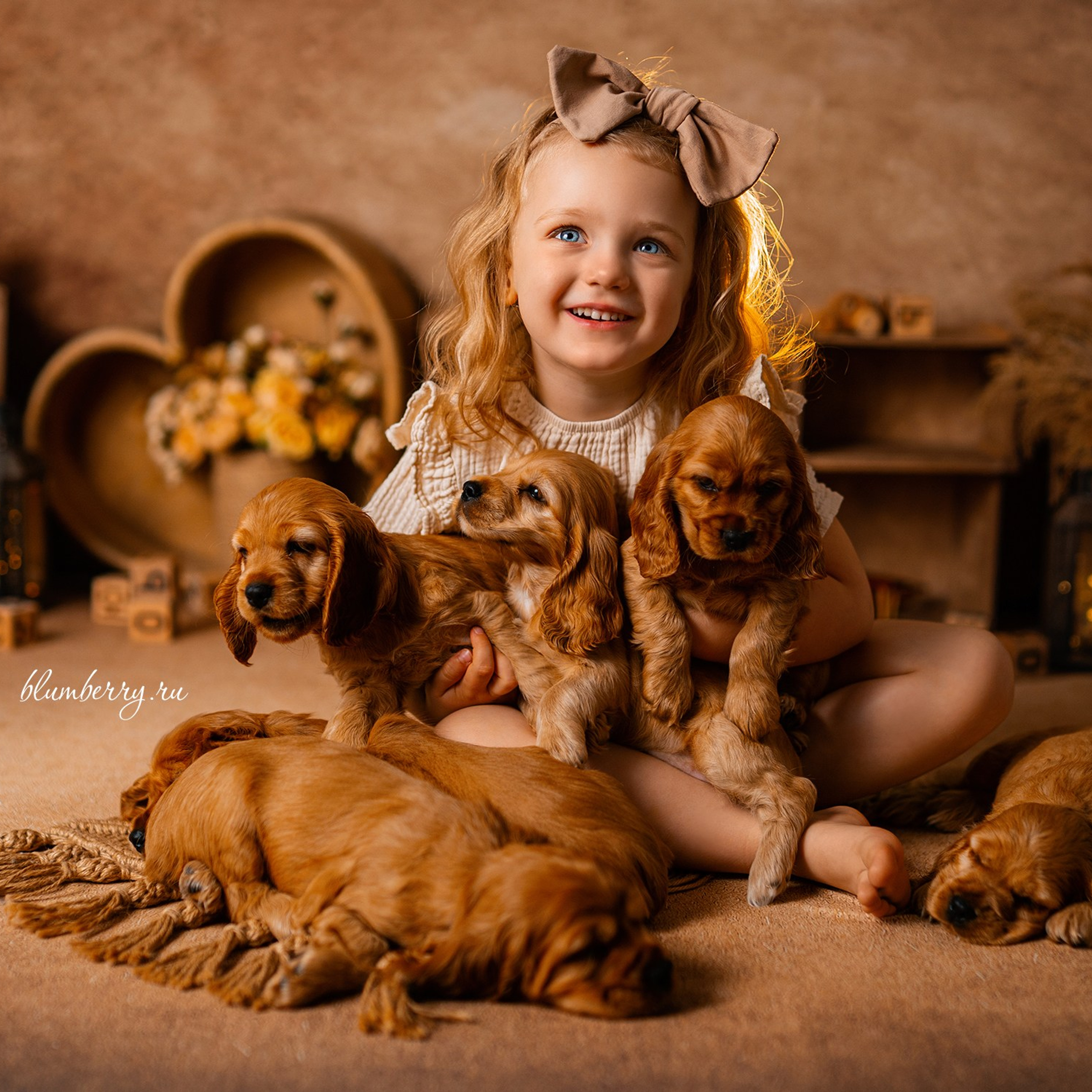 Щенки спаниеля. Детский и семейный фотограф в Краснодаре Анастасия Blumberry