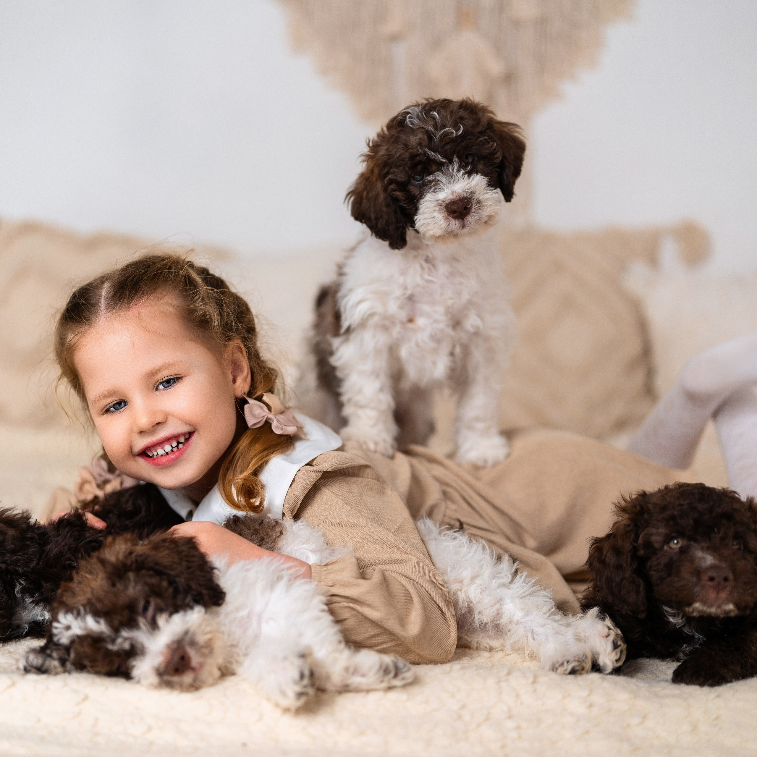 Щенки лаготто. Детский и семейный фотограф в Краснодаре Анастасия Blumberry