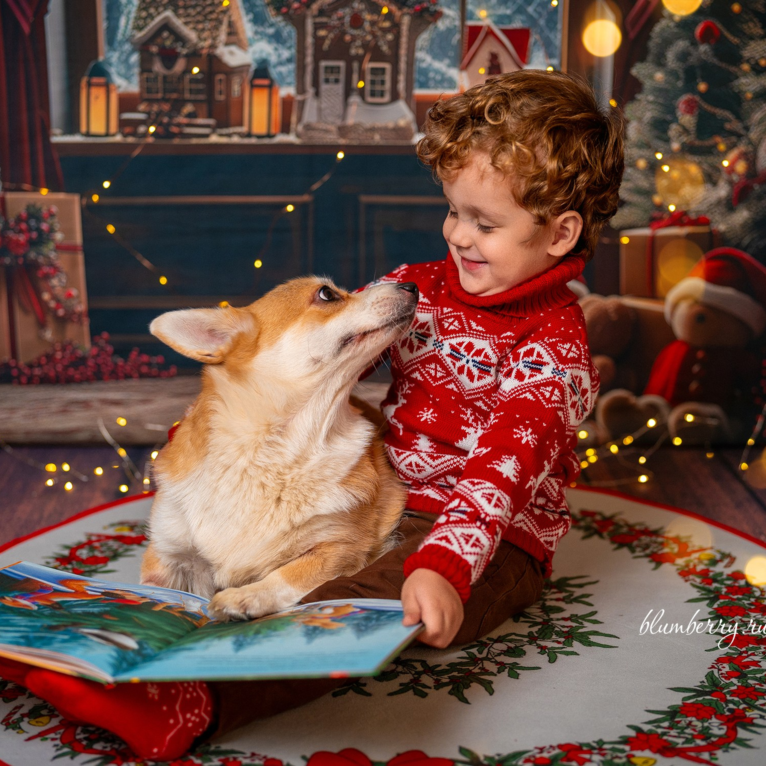 Новогодняя комната с корги. Детский и семейный фотограф в Краснодаре Анастасия Blumberry