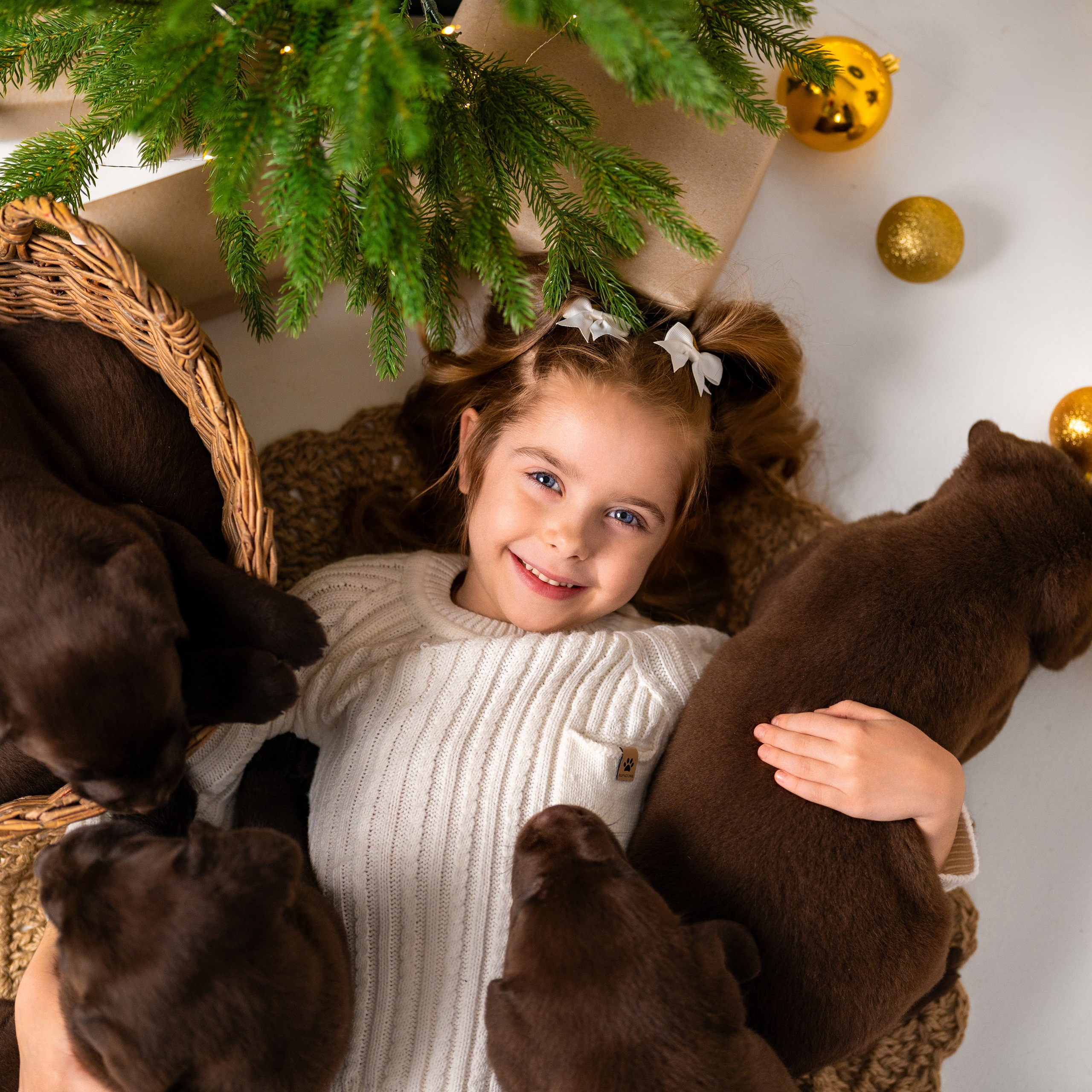 Щенки лабрадоры. Детский и семейный фотограф в Краснодаре Анастасия Blumberry