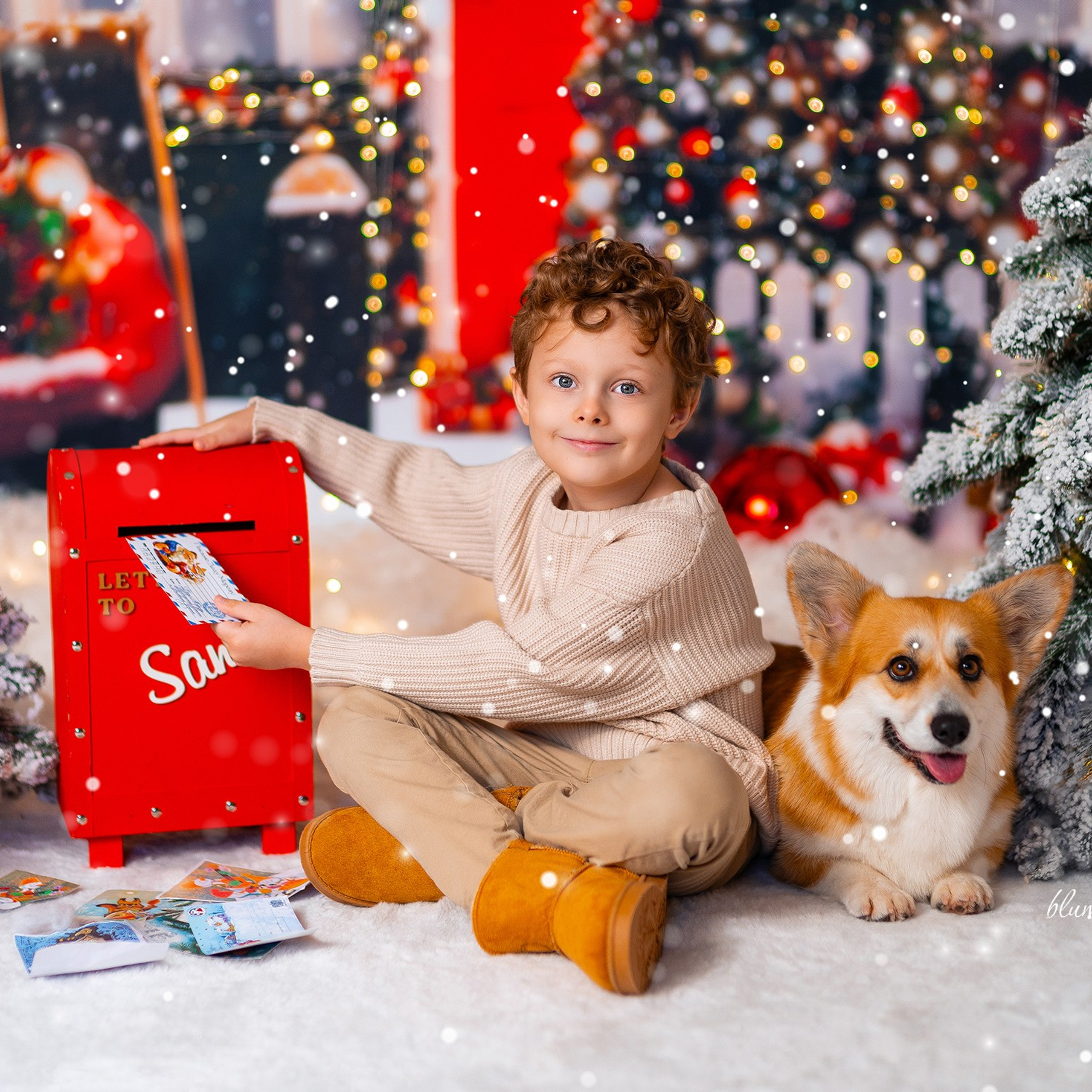 Новогодняя с корги. Детский и семейный фотограф в Краснодаре Анастасия Blumberry