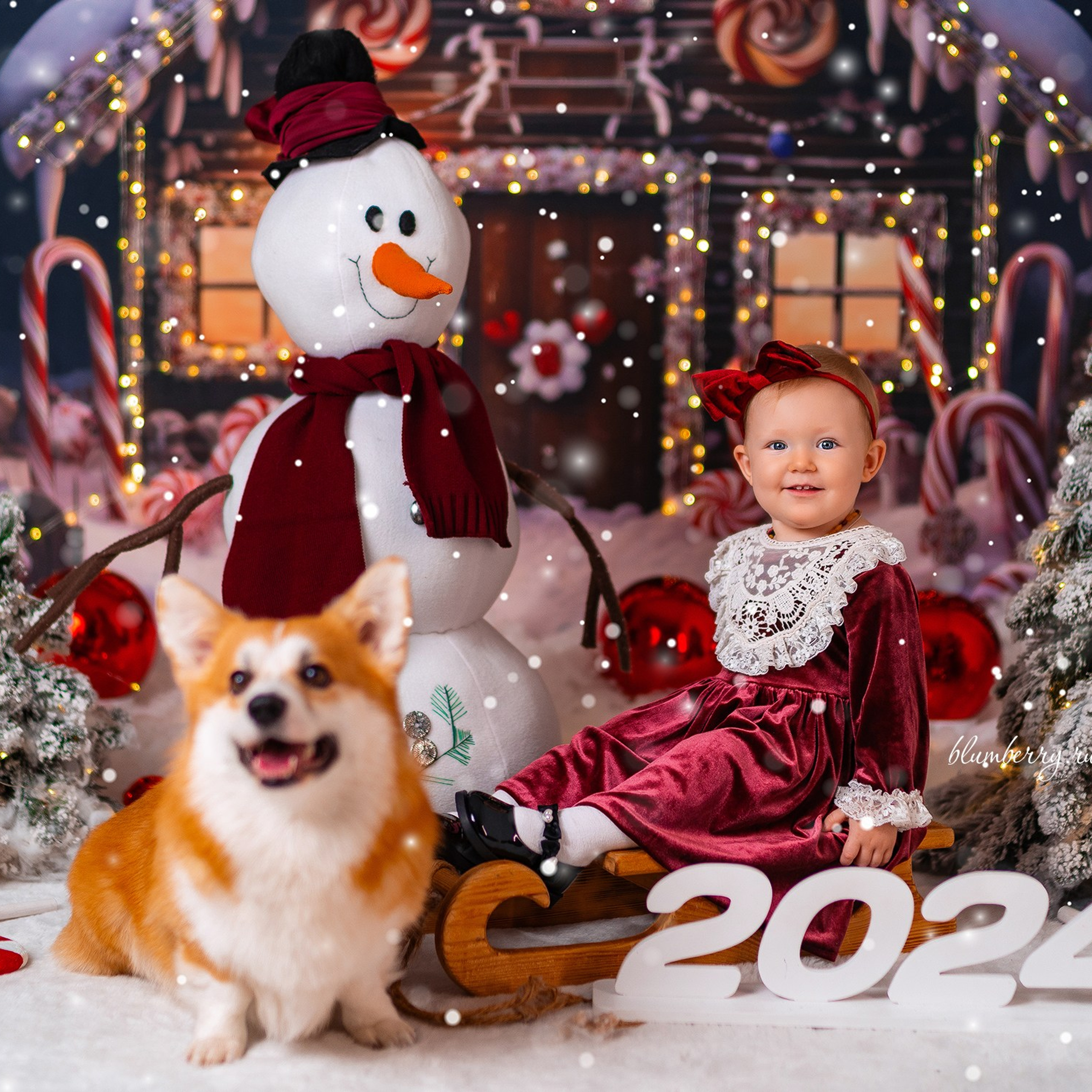 Новогодняя с корги. Детский и семейный фотограф в Краснодаре Анастасия Blumberry