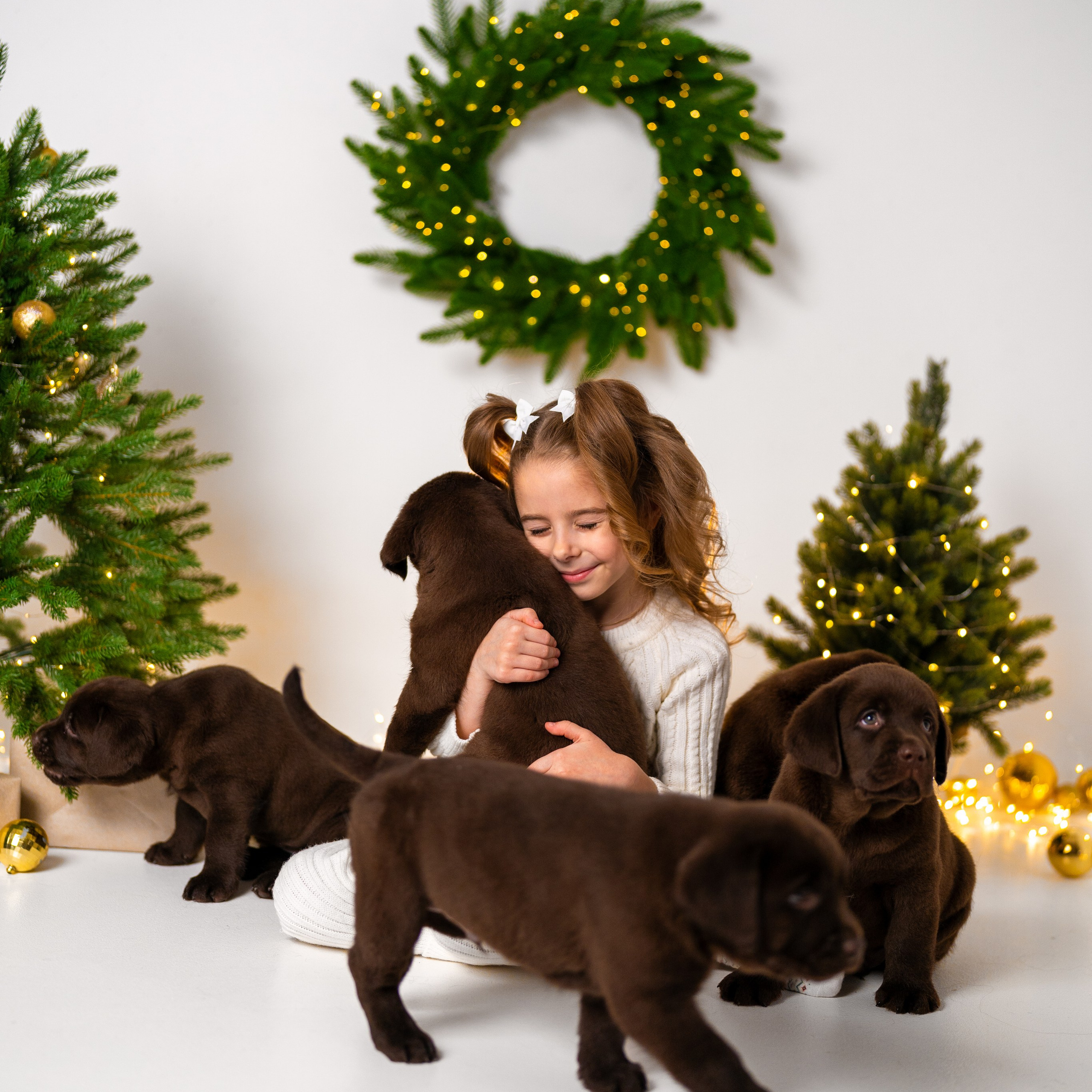 Щенки лабрадоры. Детский и семейный фотограф в Краснодаре Анастасия Blumberry