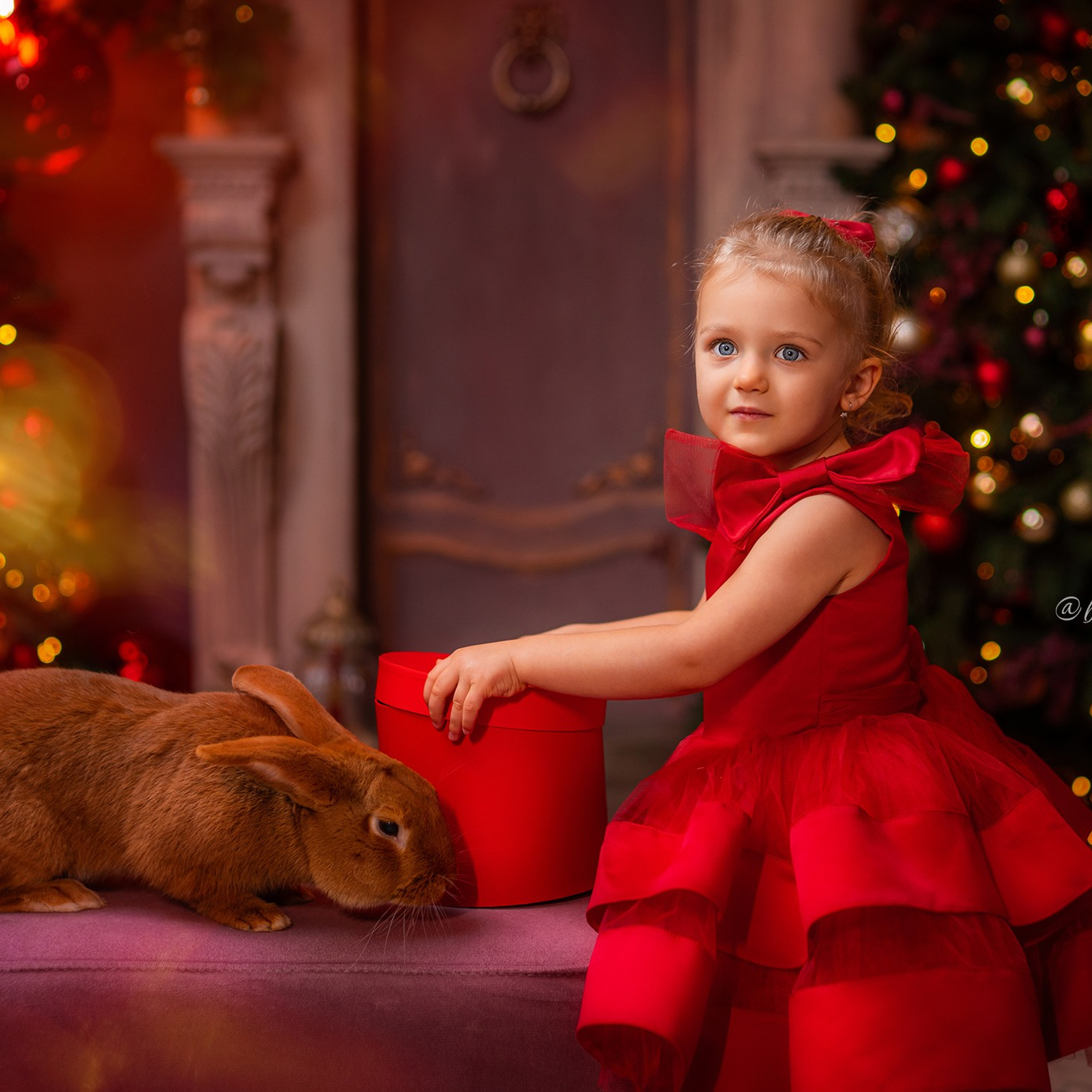 Новогодняя с самоедом и кроликом. Детский и семейный фотограф в Краснодаре Анастасия Blumberry