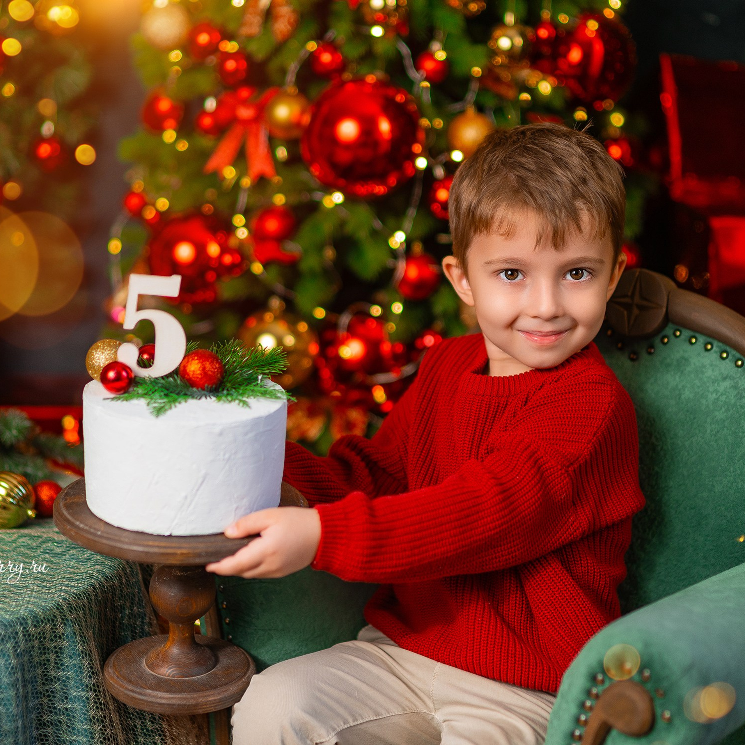 Новогодняя с корги. Детский и семейный фотограф в Краснодаре Анастасия Blumberry