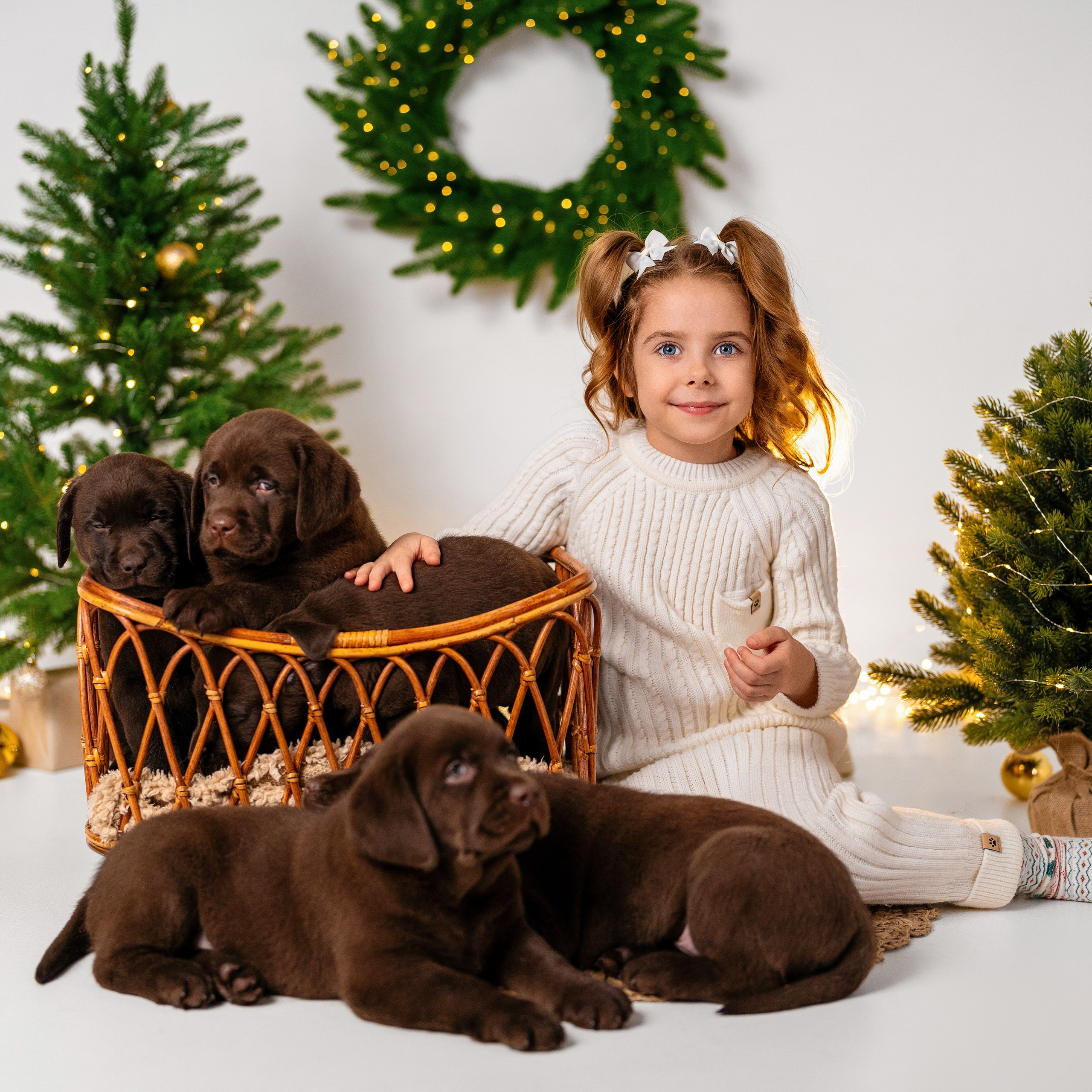 Щенки лабрадоры. Детский и семейный фотограф в Краснодаре Анастасия Blumberry