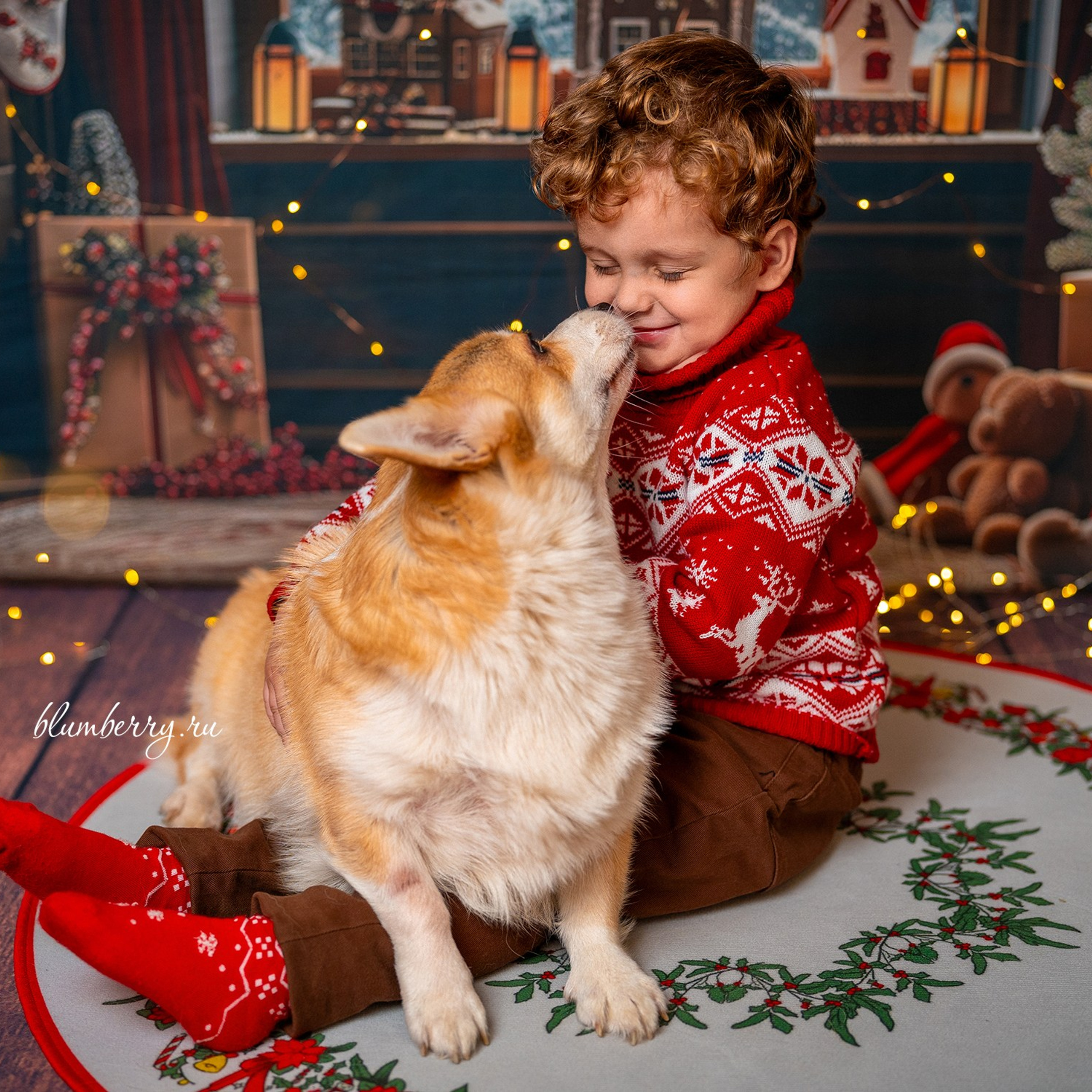 Новогодняя комната с корги. Детский и семейный фотограф в Краснодаре Анастасия Blumberry