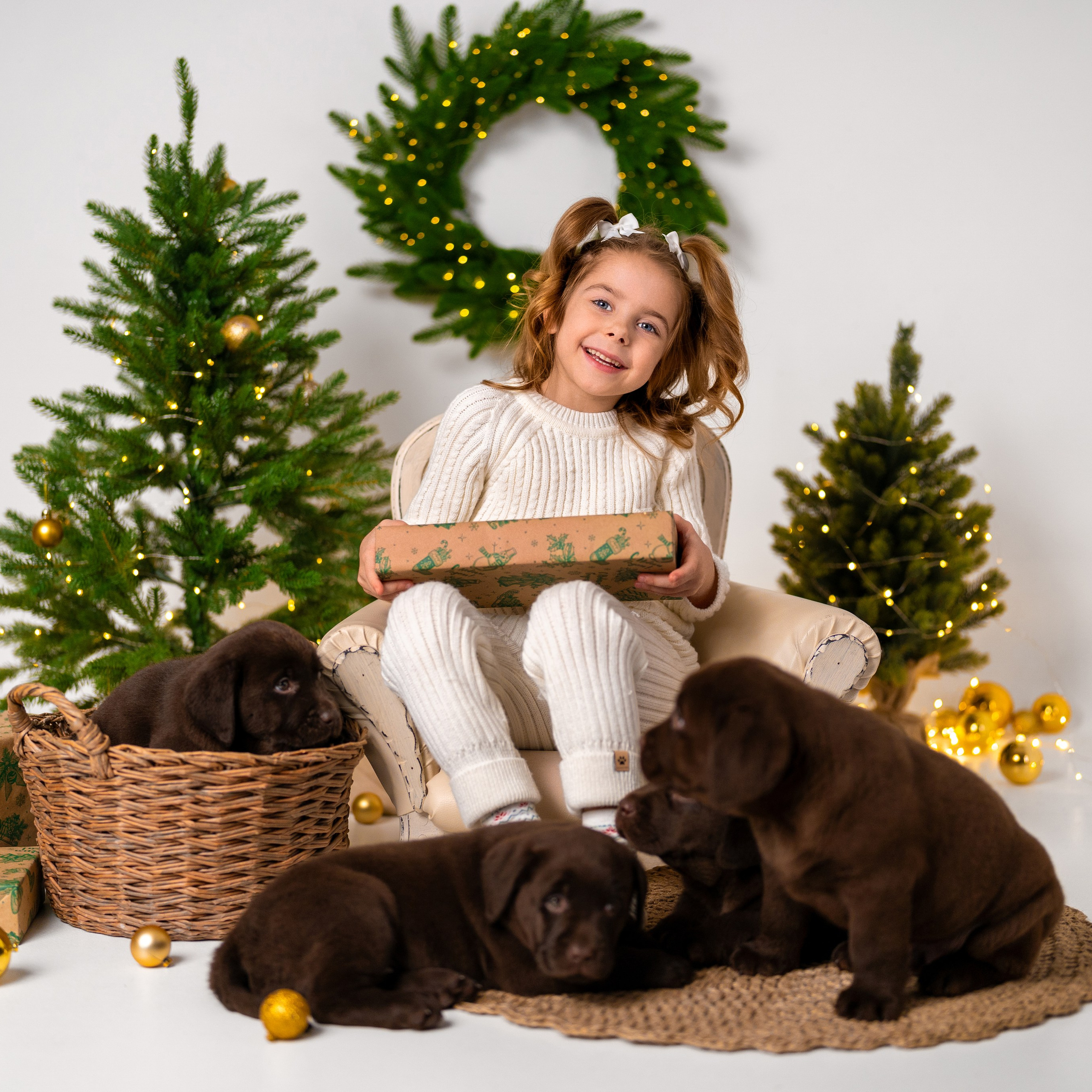 Щенки лабрадоры. Детский и семейный фотограф в Краснодаре Анастасия Blumberry