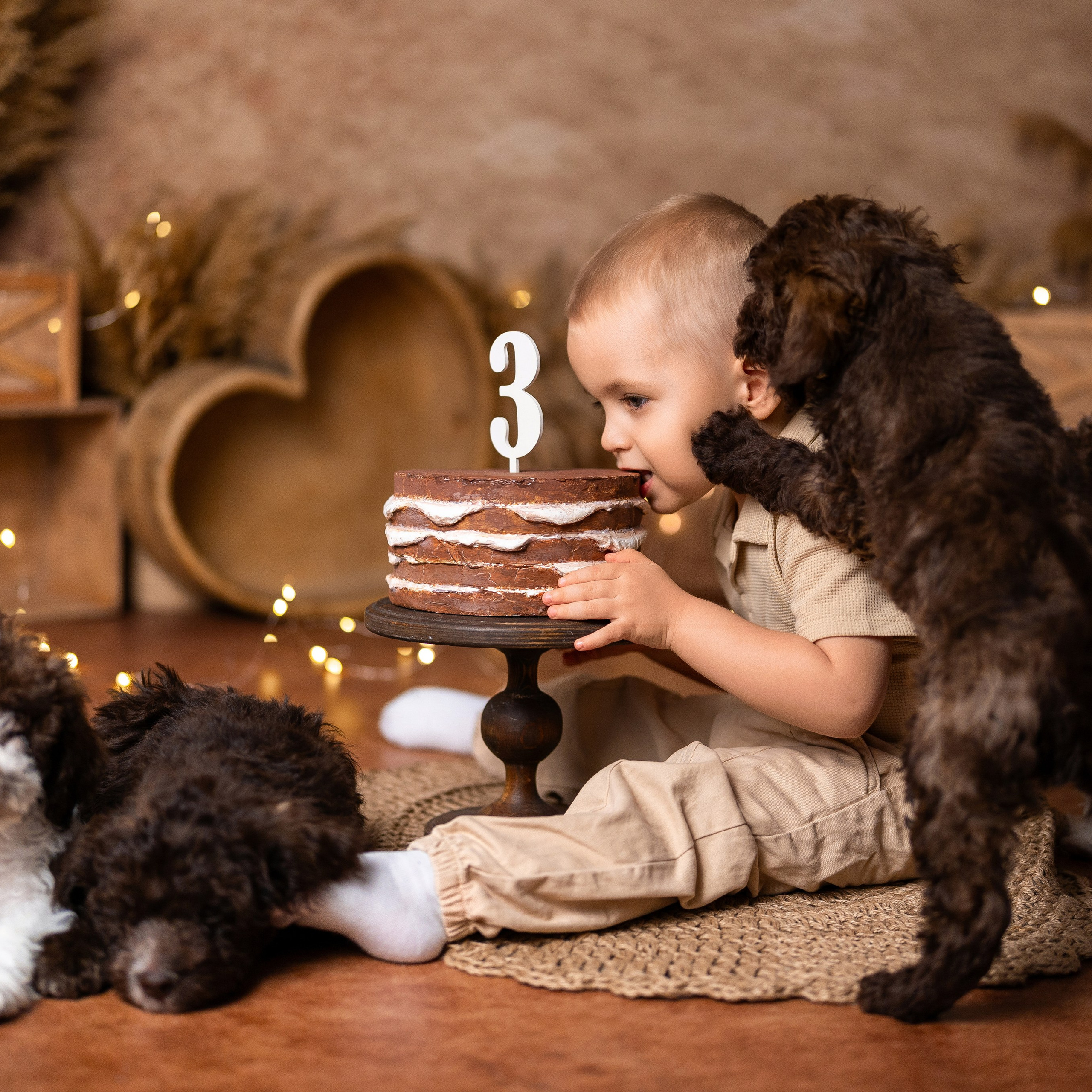 Щенки лаготто. Детский и семейный фотограф в Краснодаре Анастасия Blumberry