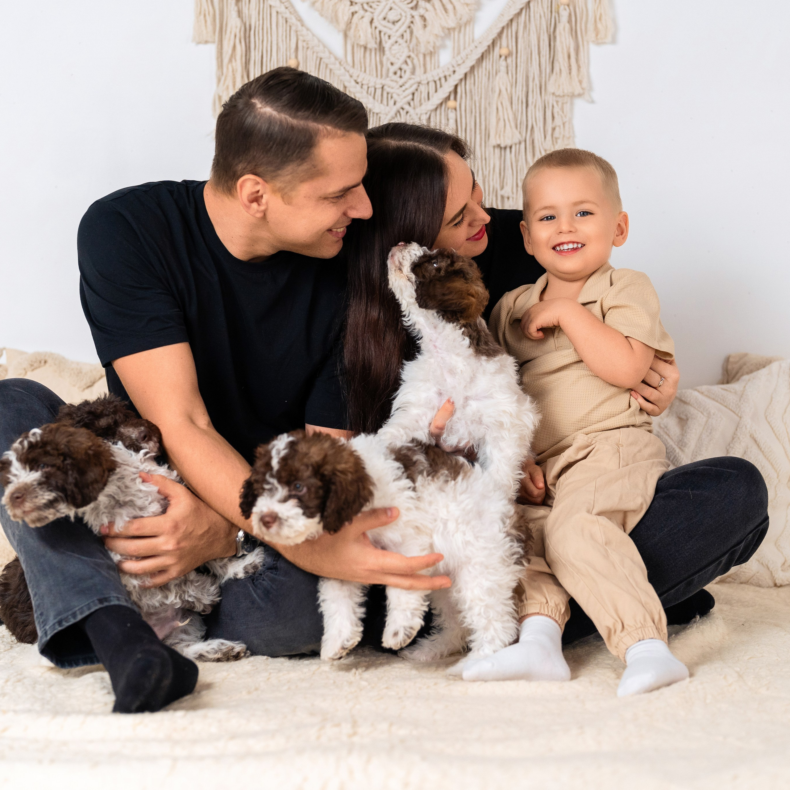 Щенки лаготто. Детский и семейный фотограф в Краснодаре Анастасия Blumberry