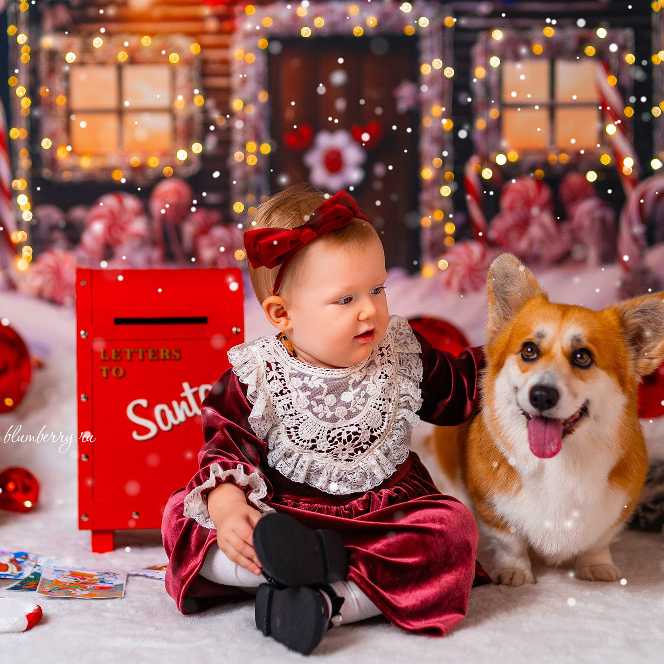 Новогодняя с корги. Детский и семейный фотограф в Краснодаре Анастасия Blumberry