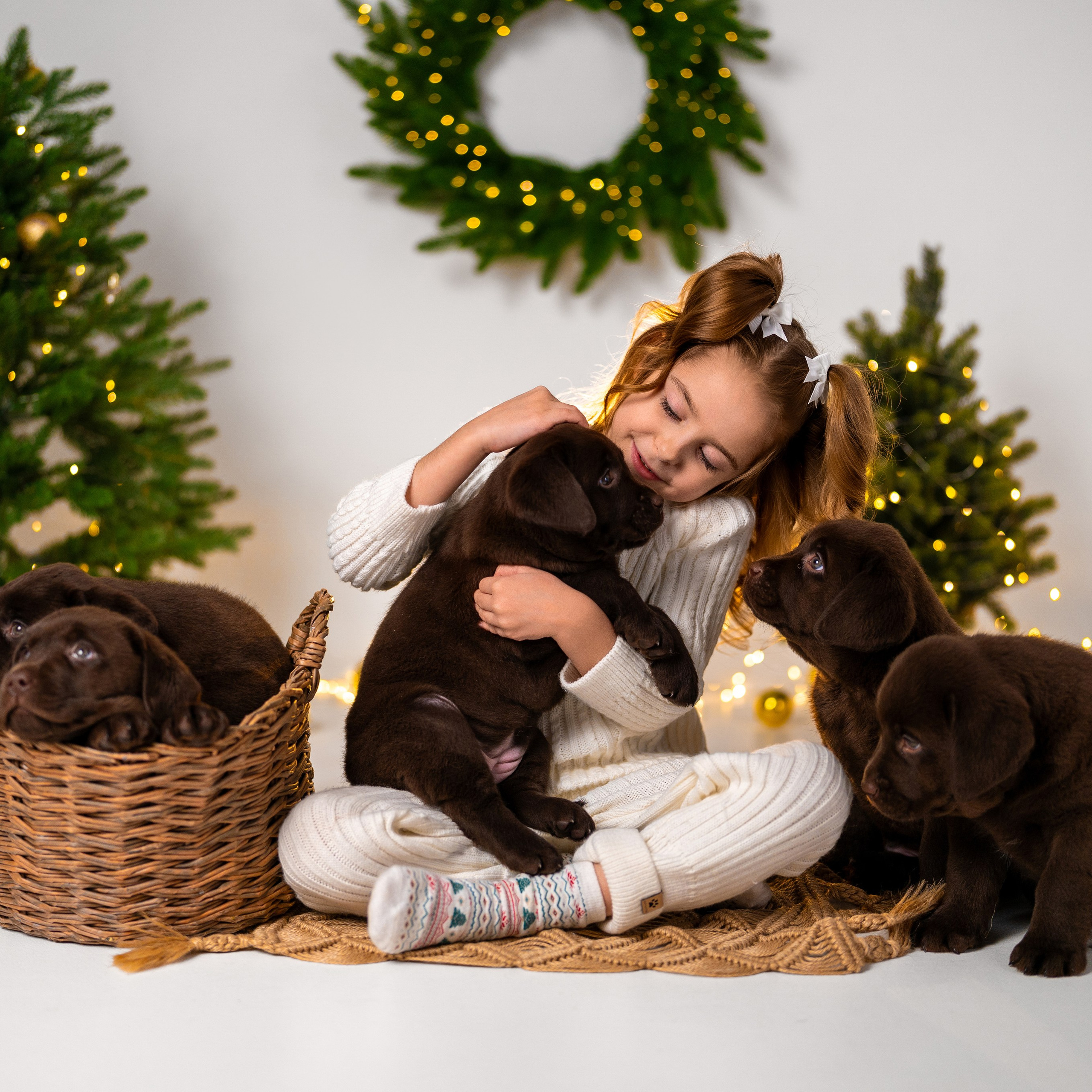 Щенки лабрадоры. Детский и семейный фотограф в Краснодаре Анастасия Blumberry