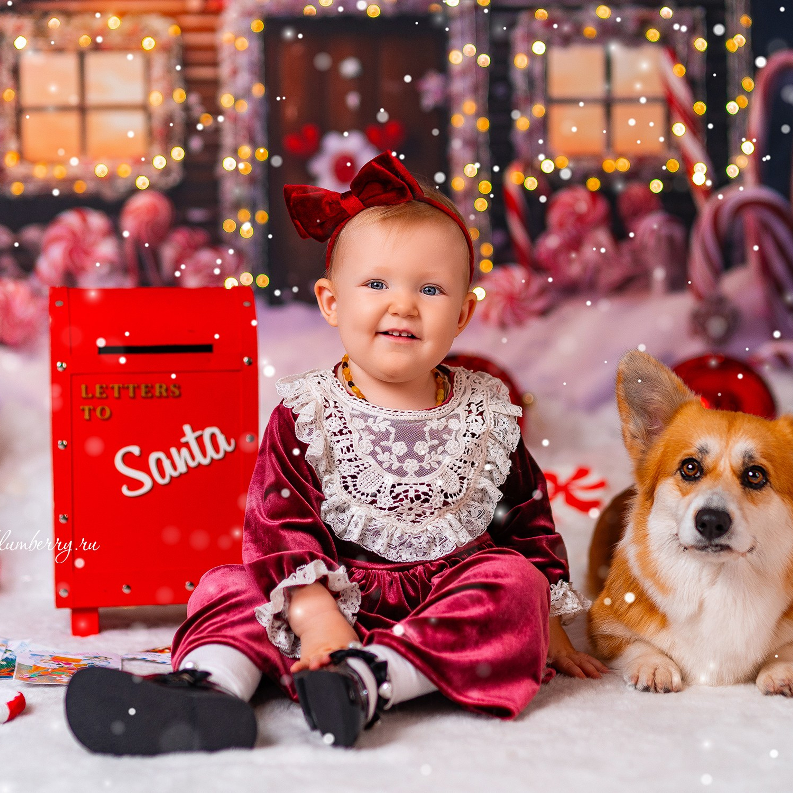 Новогодняя с корги. Детский и семейный фотограф в Краснодаре Анастасия Blumberry