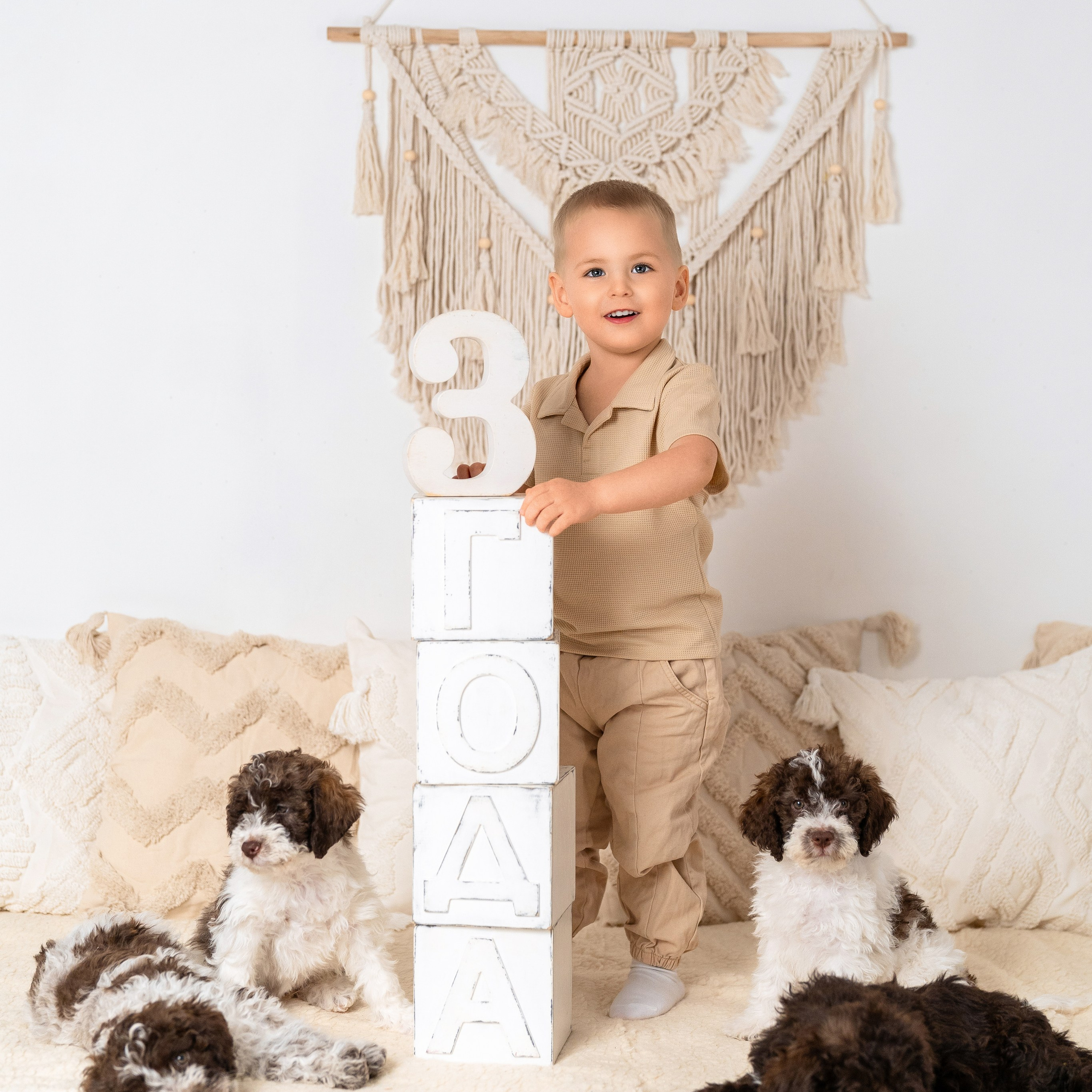 Щенки лаготто. Детский и семейный фотограф в Краснодаре Анастасия Blumberry